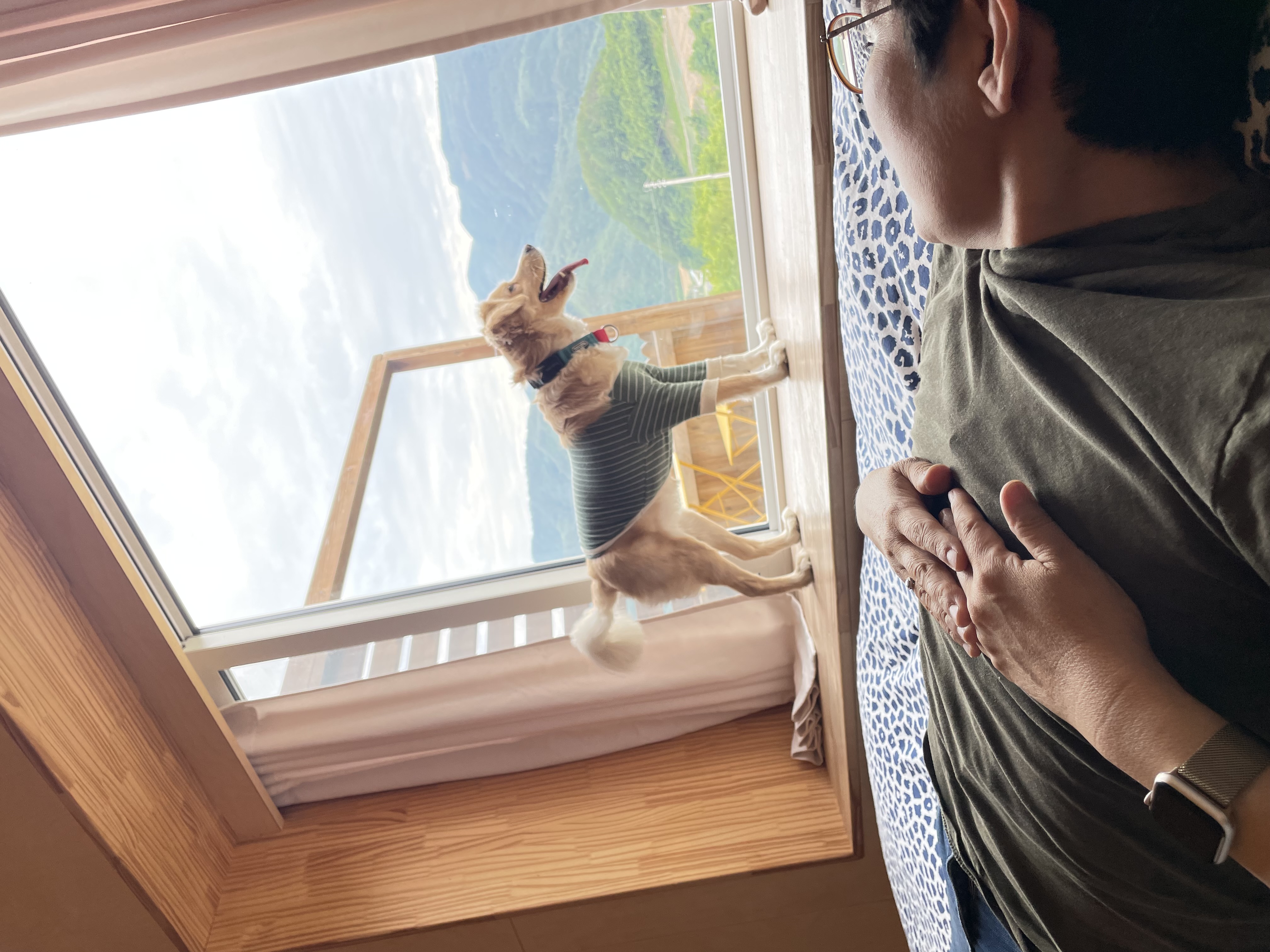 루시 (삼콩)와 지낸 일년