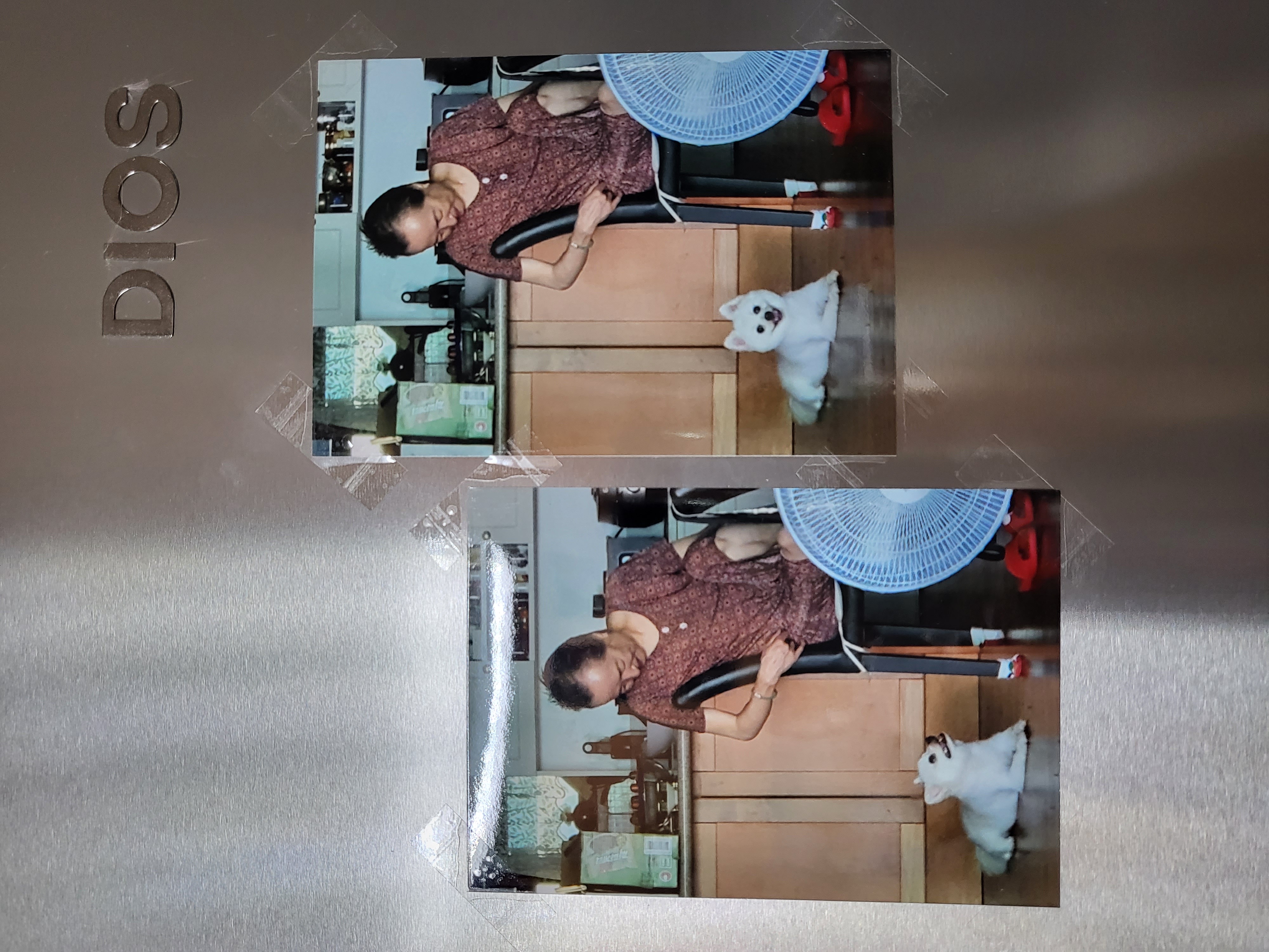 김가루 2년 되었어요~♡(곤지암 오잉이)