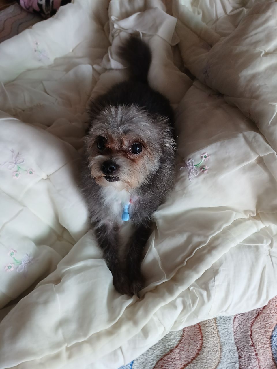 소피 잘지내고 있어요~