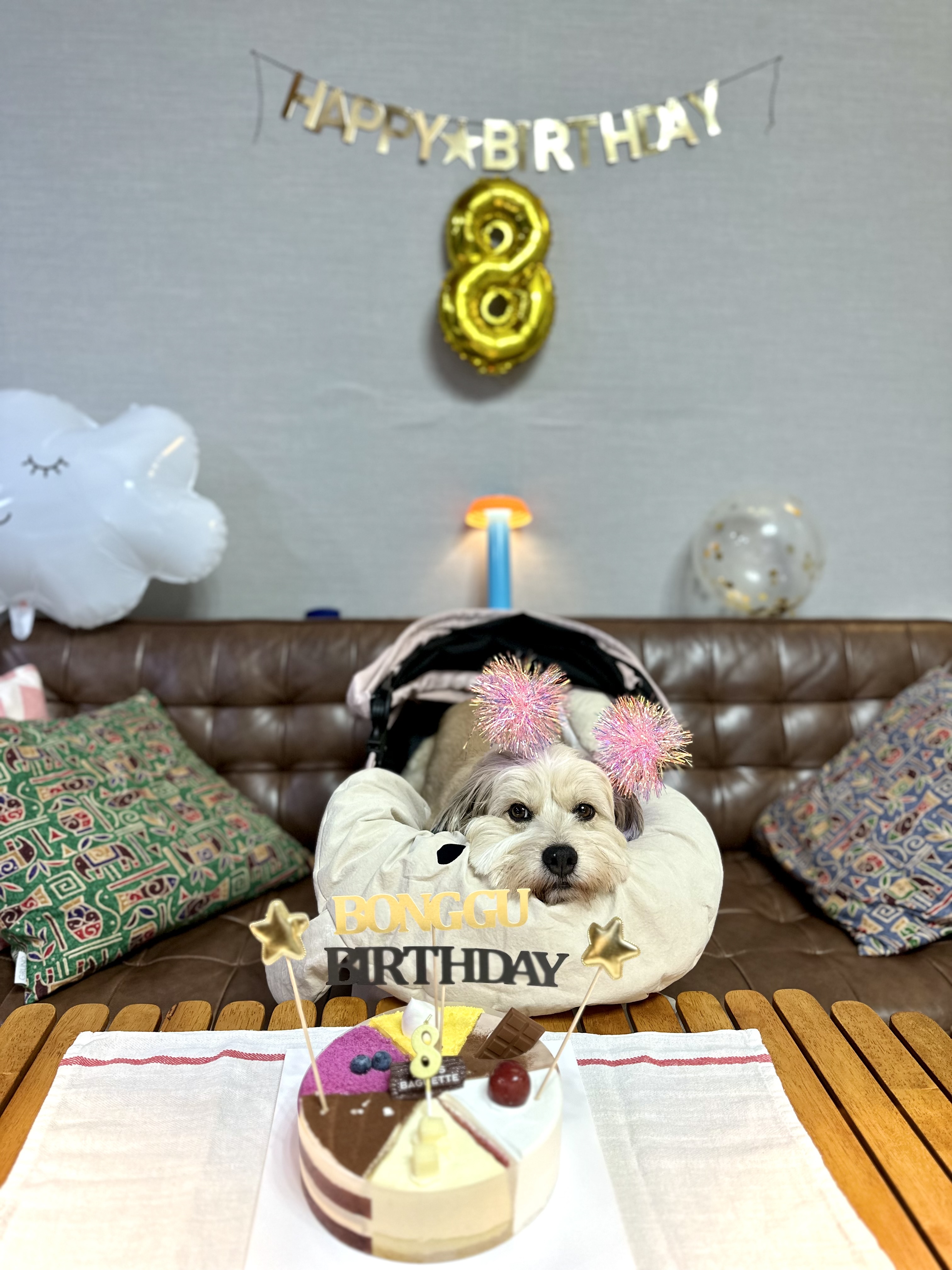 봉구 8살 생일입니다 