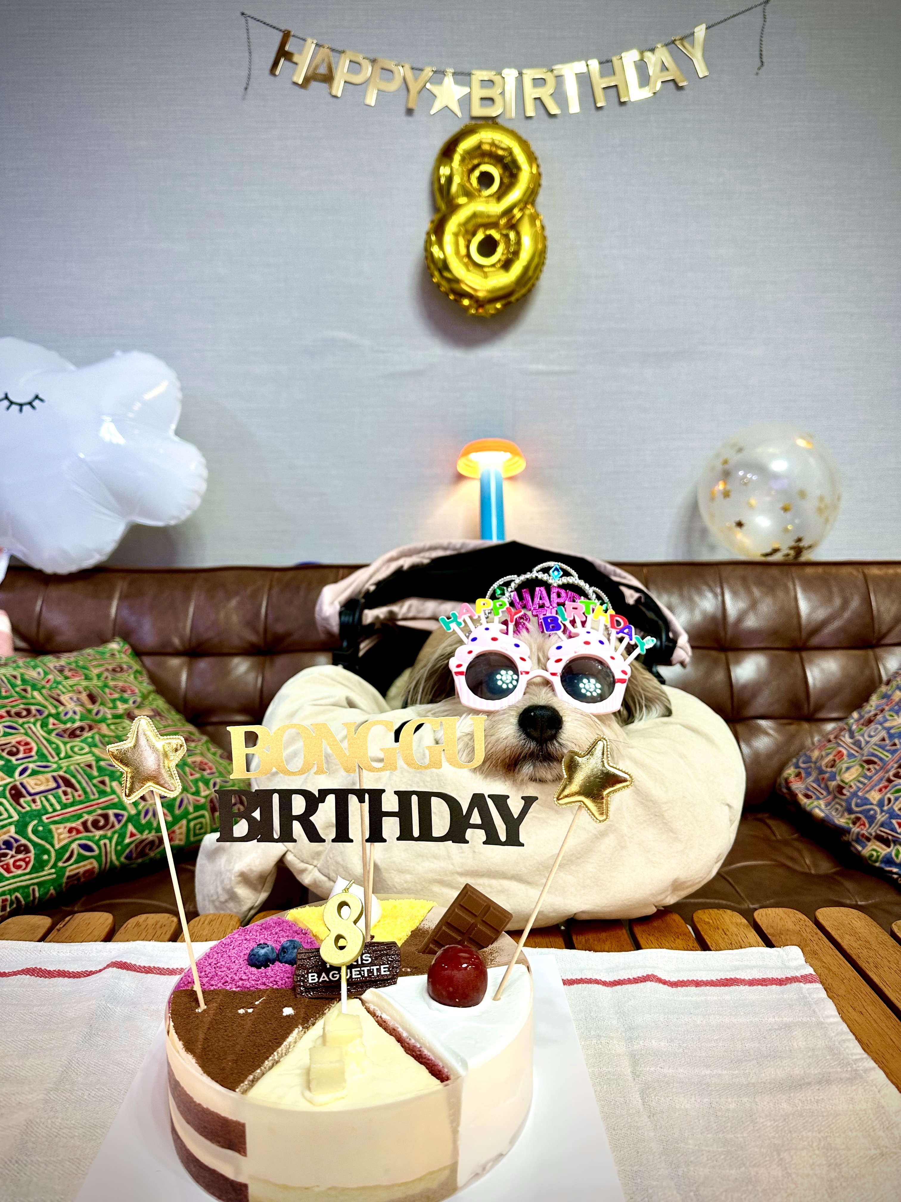 봉구 8살 생일입니다 