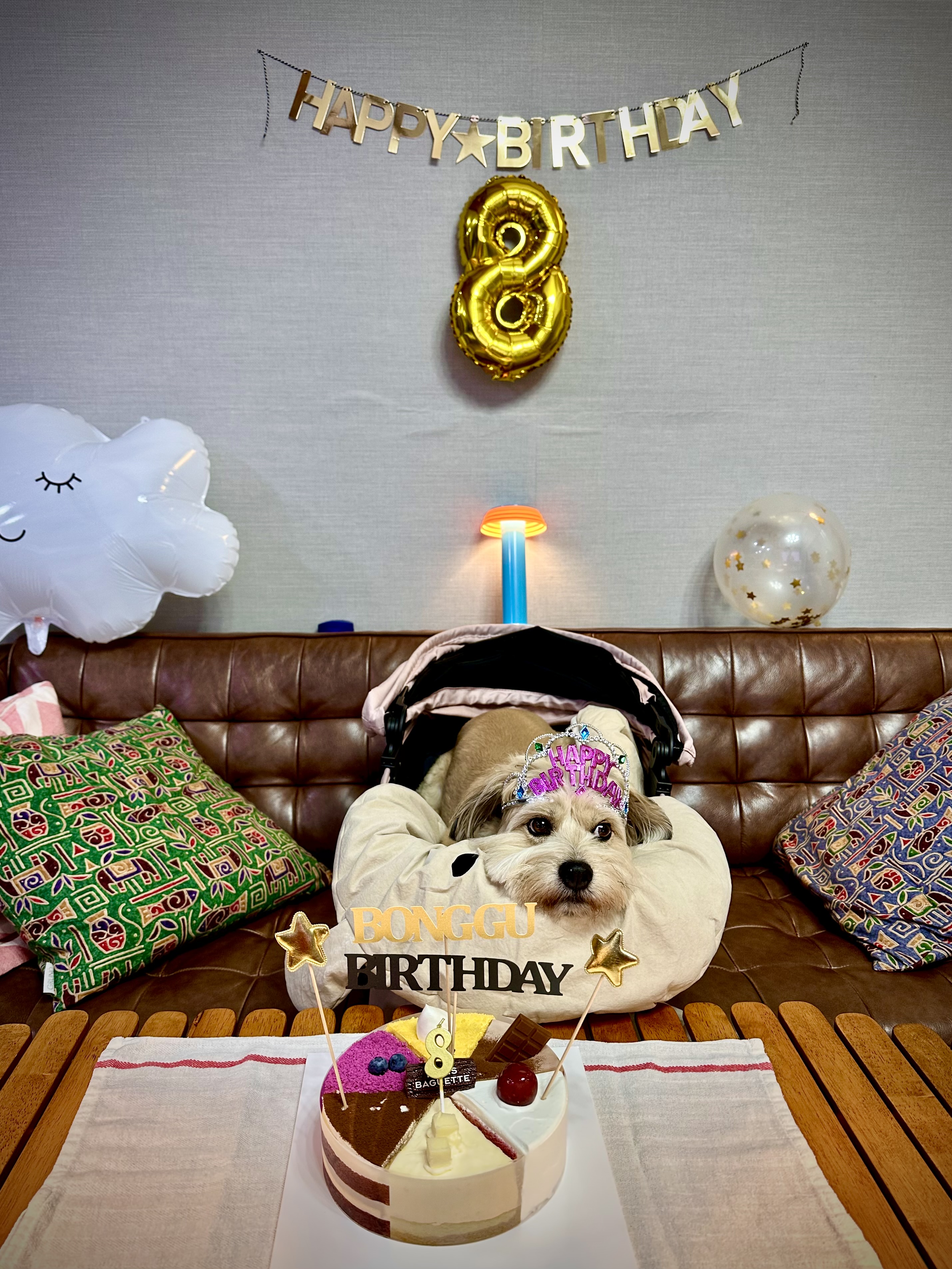 봉구 8살 생일입니다 