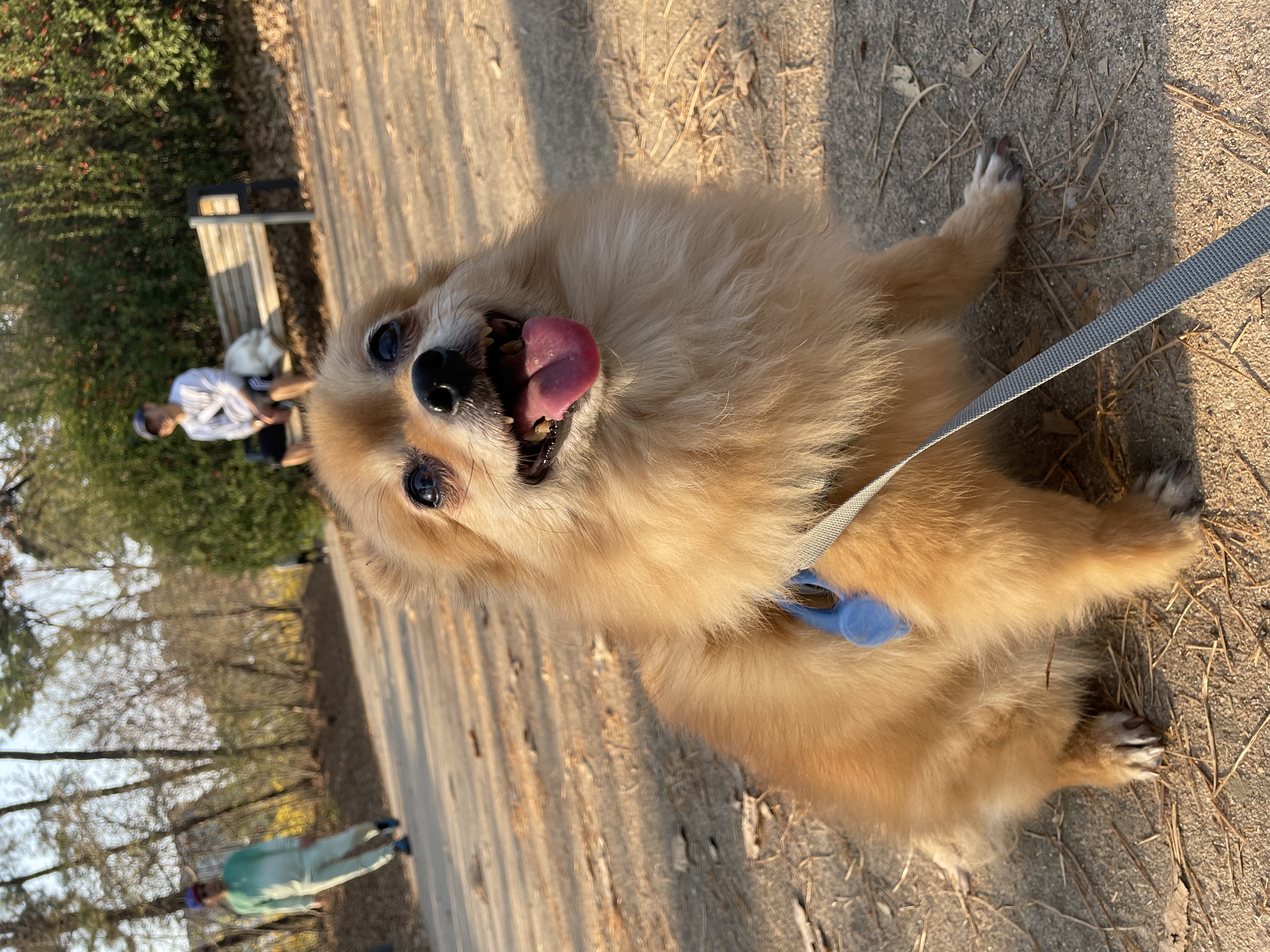 티거(곤지암2-워터)와 벌써 이년!