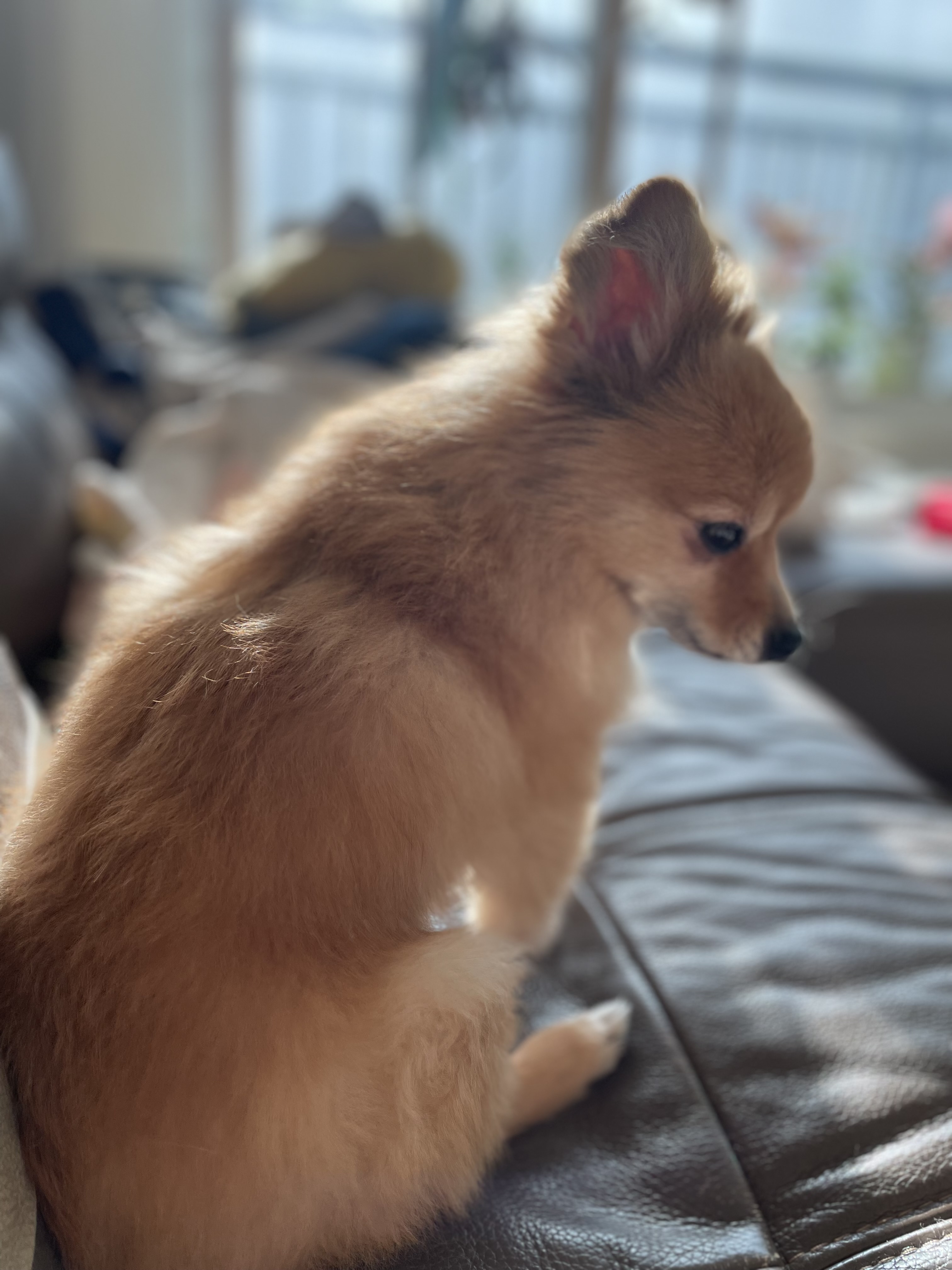 티거(곤지암2-워터)와 벌써 이년!