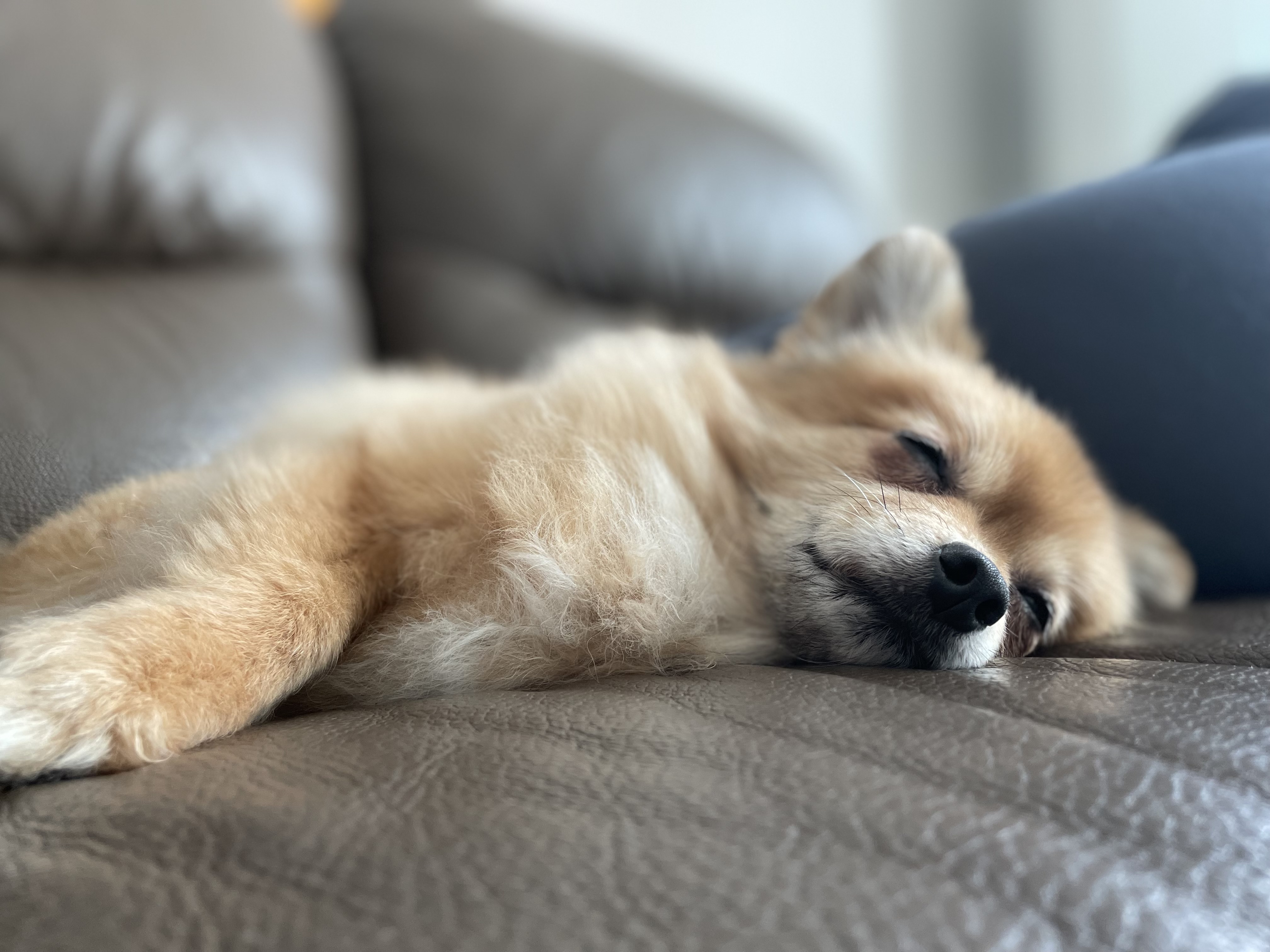 티거(곤지암2-워터)와 벌써 이년!