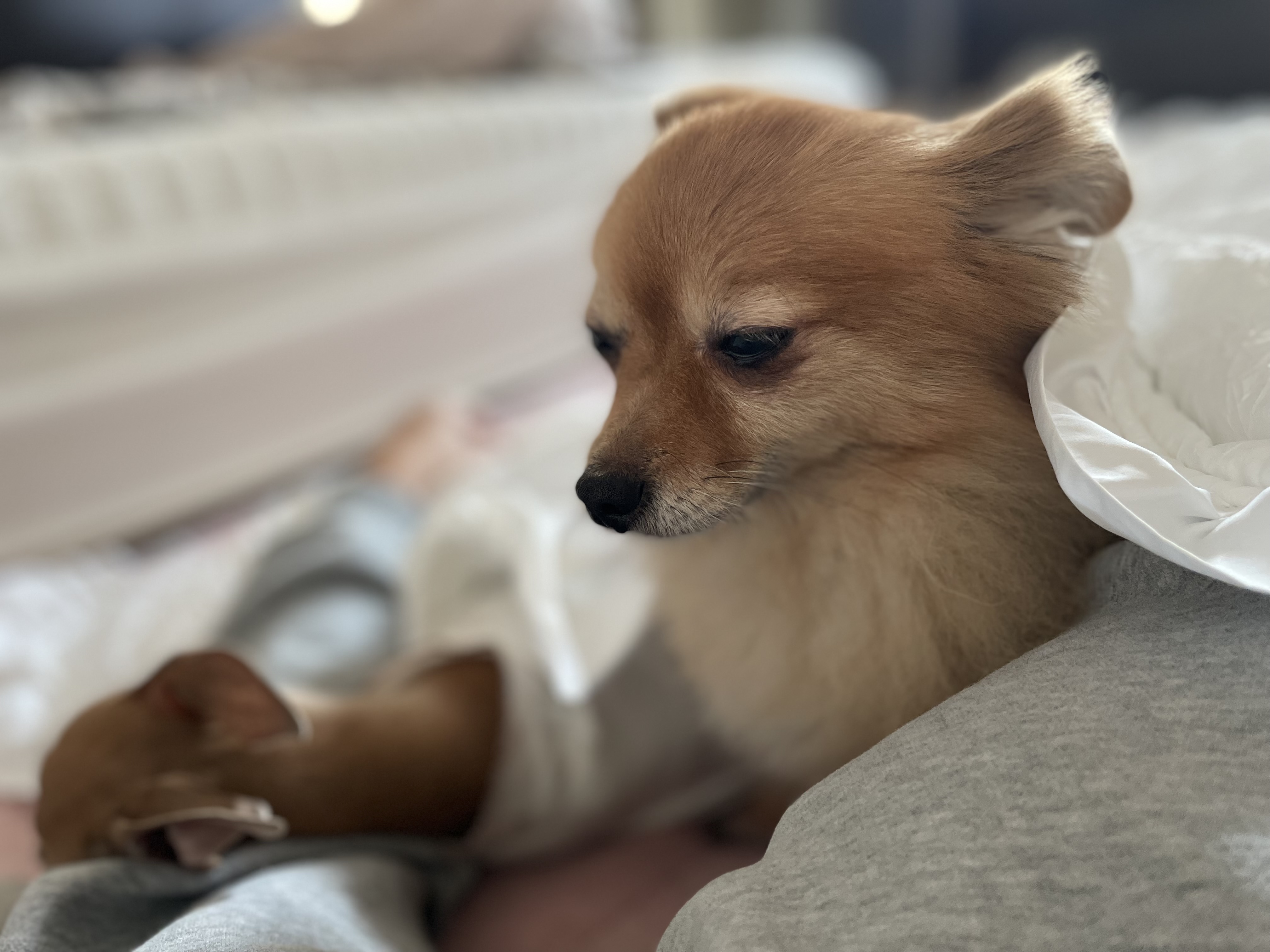 티거(곤지암2-워터)와 벌써 이년!