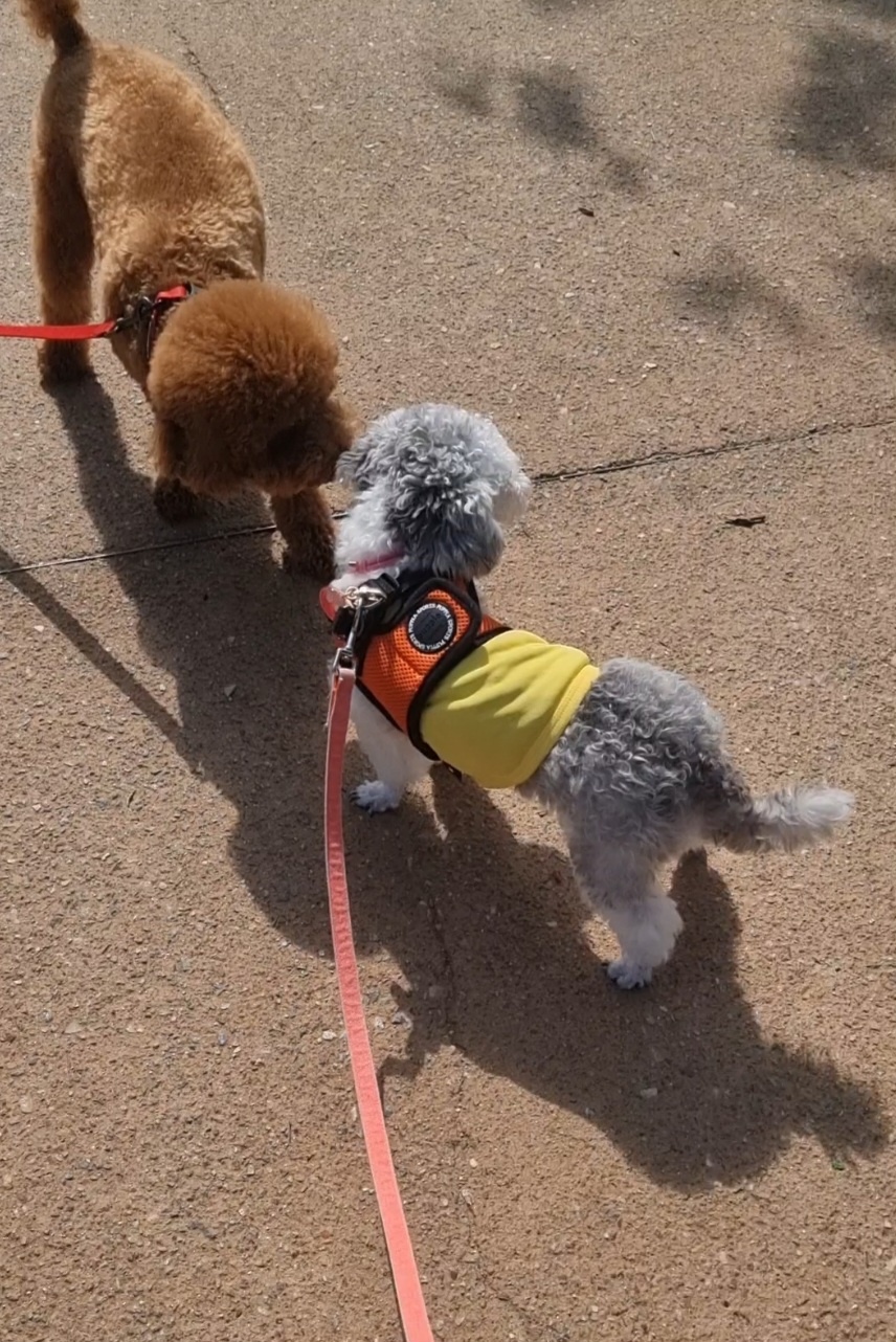 [임보] 💖달록이 와의 한달...가족을 찾아요~😊