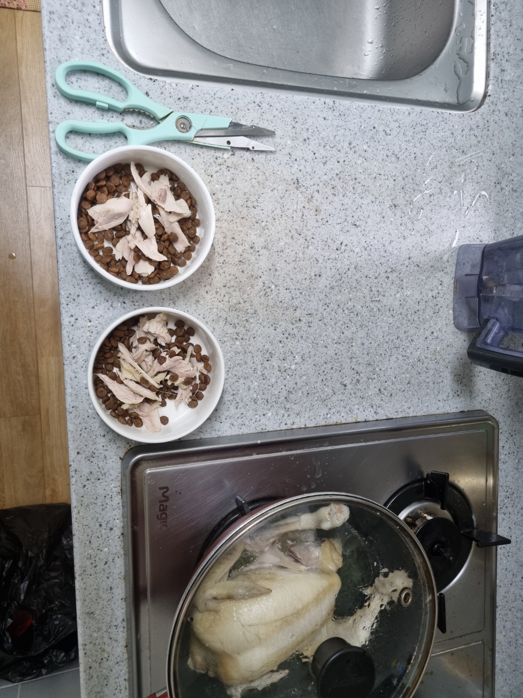 달래(해도)입양후기