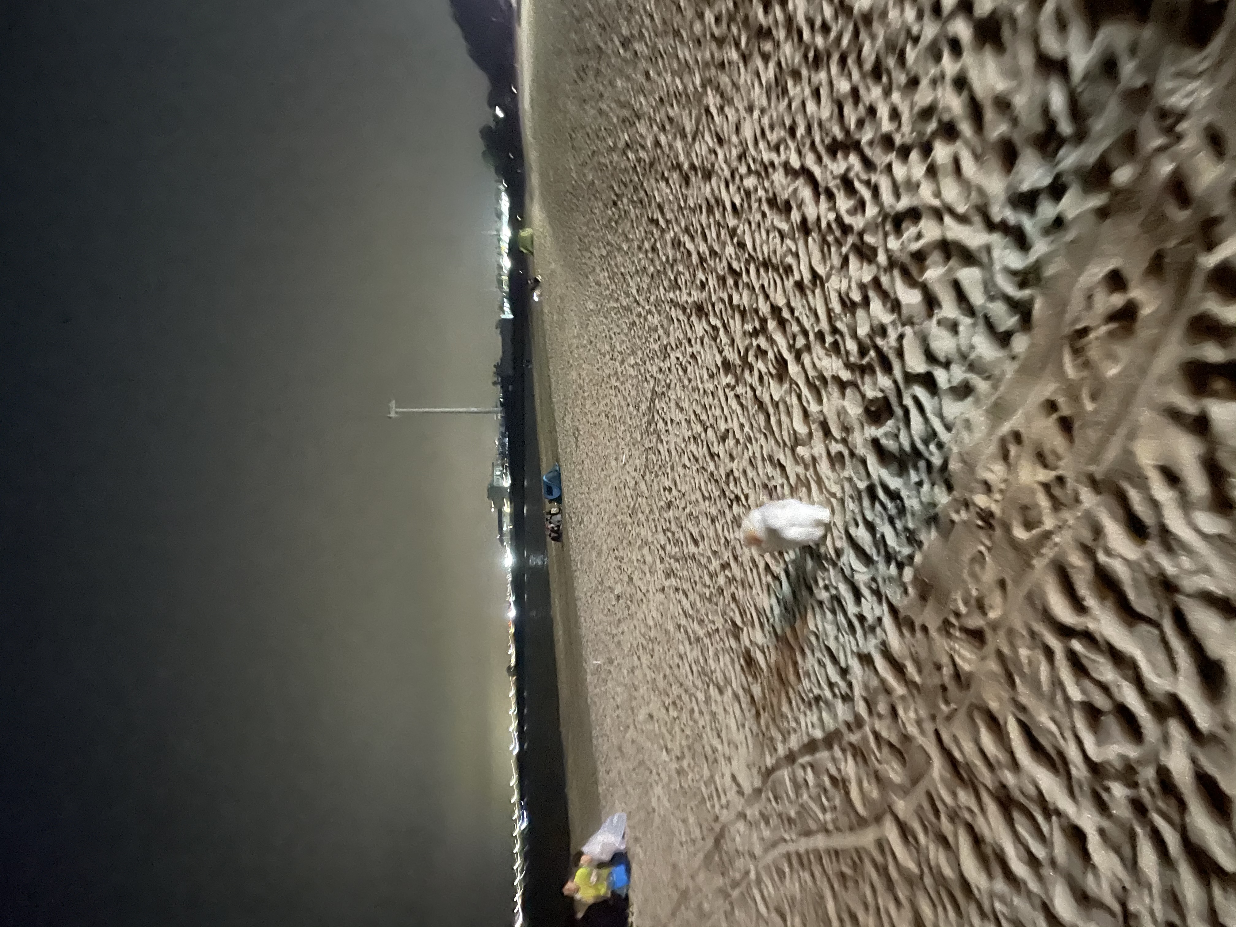 짱무(오복이)소식