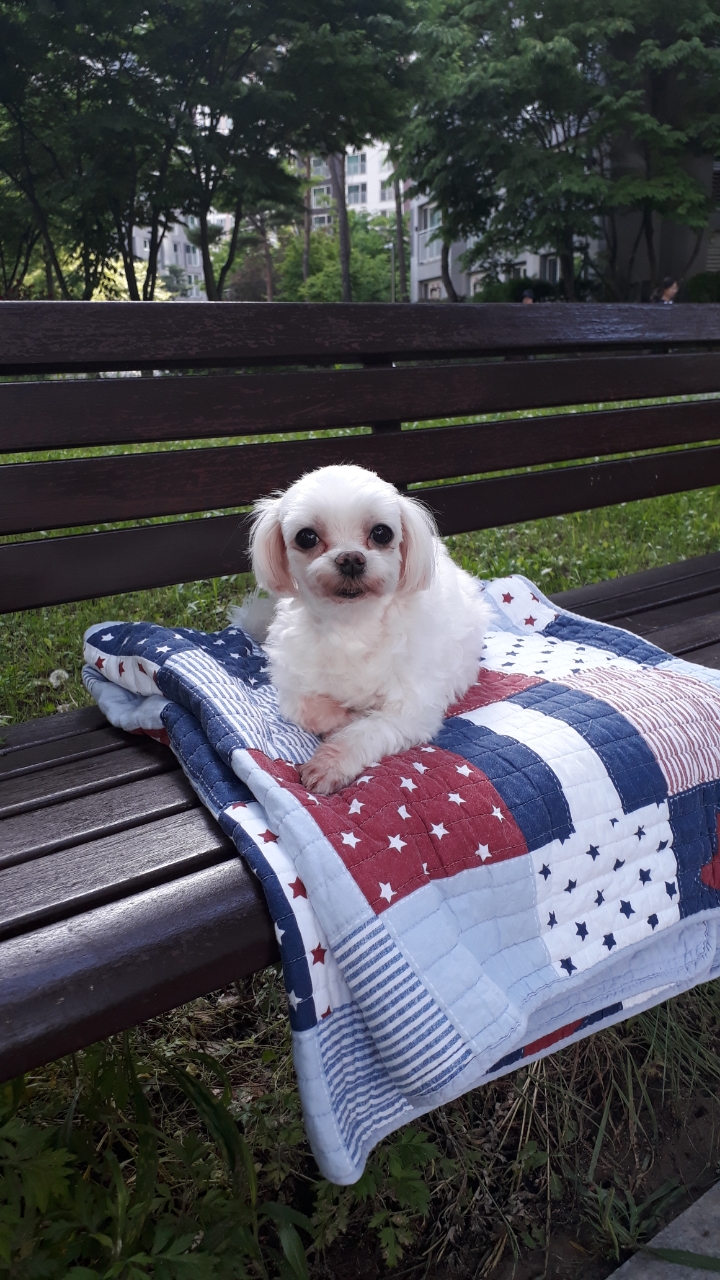 아떼(라떼) 잘지내고 있습니다