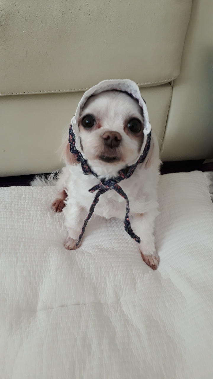 아떼(라떼) 잘지내고 있습니다