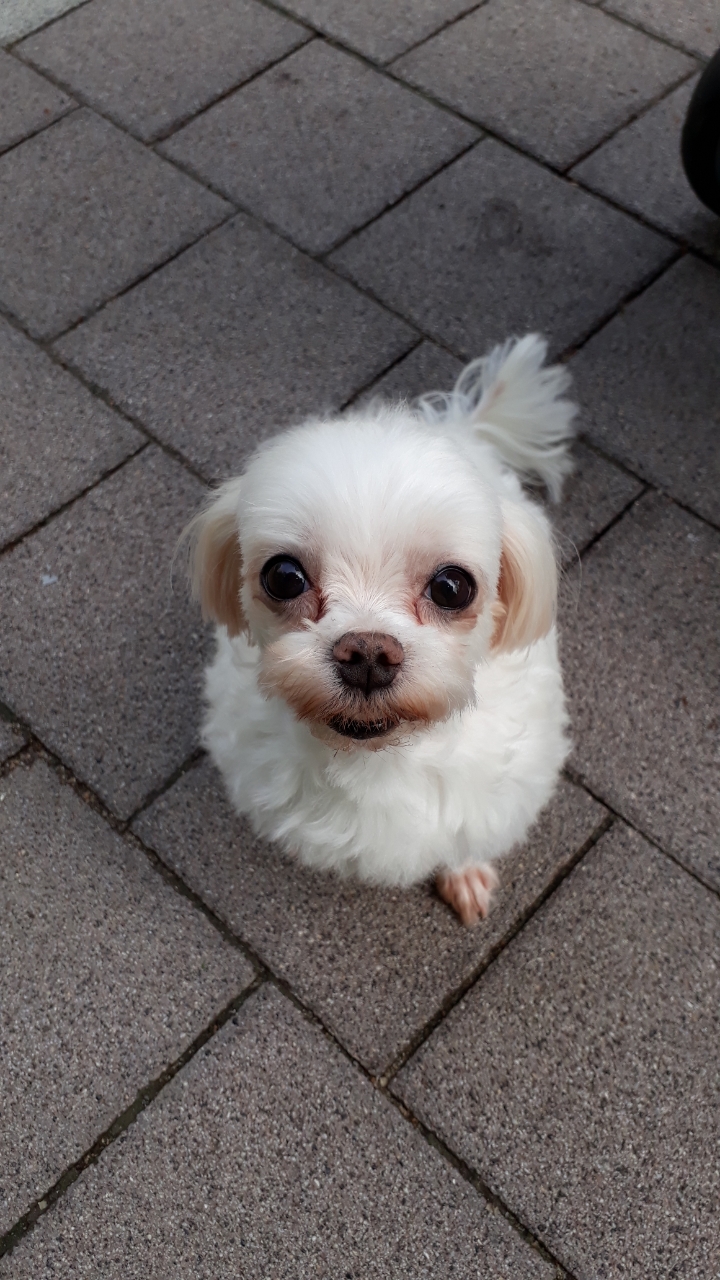 아떼(라떼) 잘지내고 있습니다