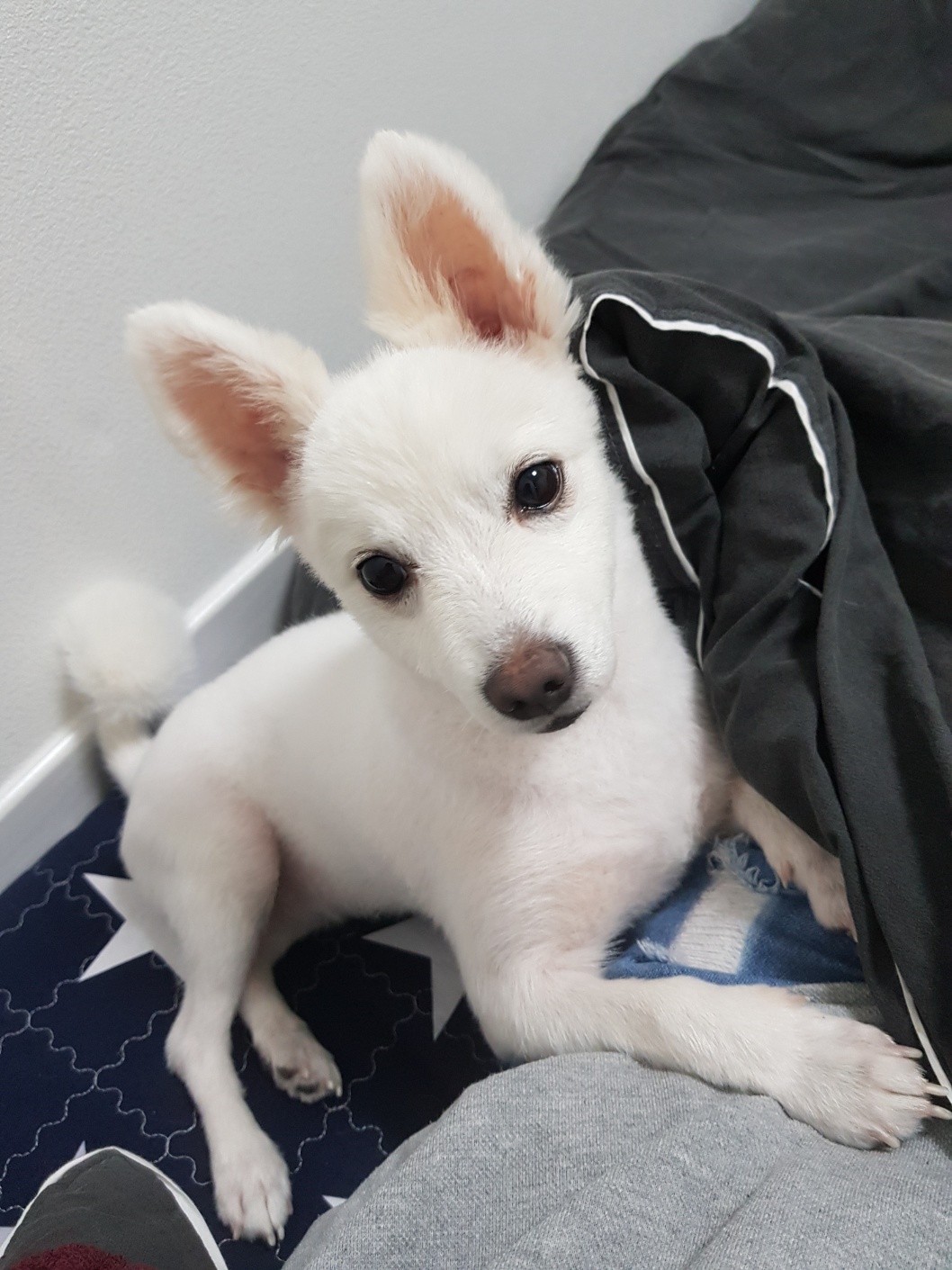 舊 메리, 現 금이 함께 한지 벌써 5년 됐나봐요