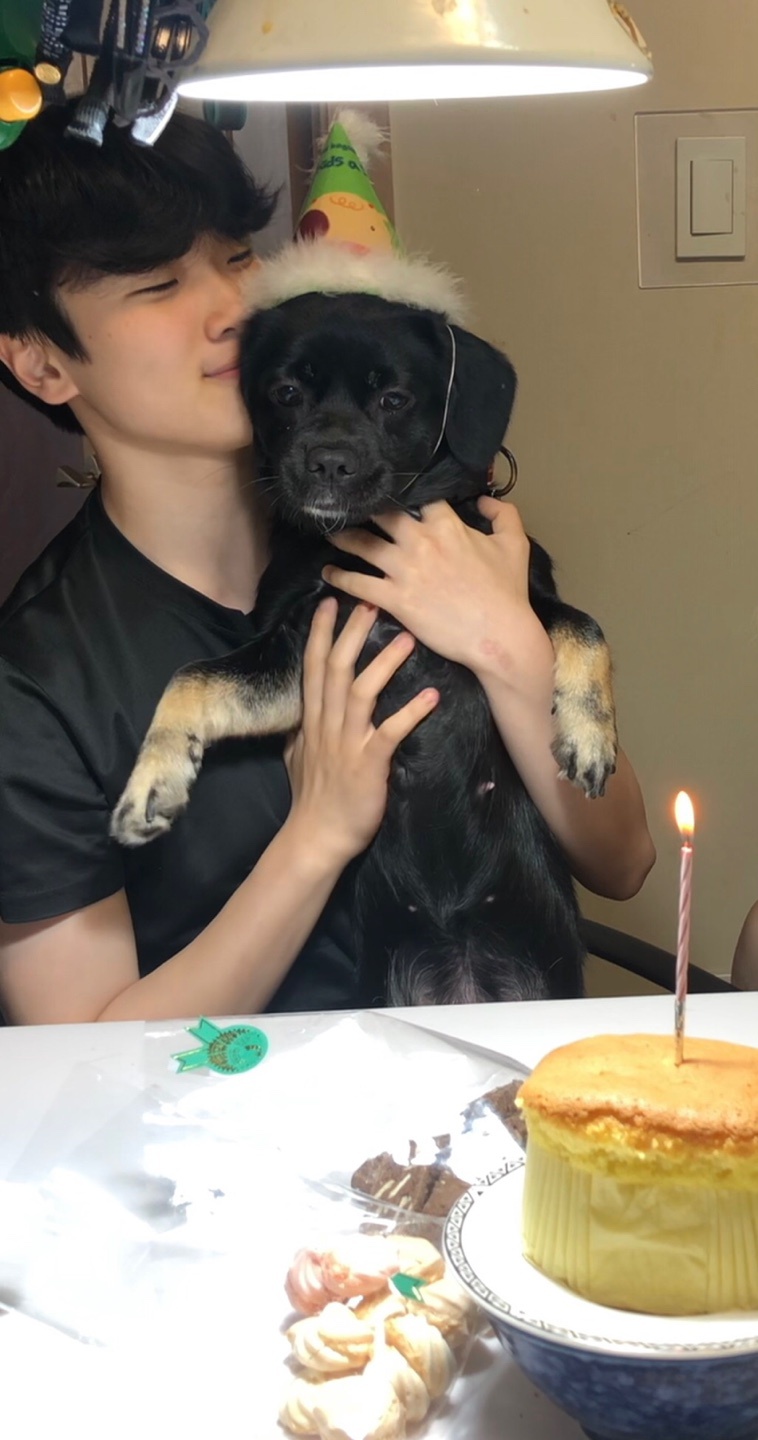 쫑이(무양이) 이야기....