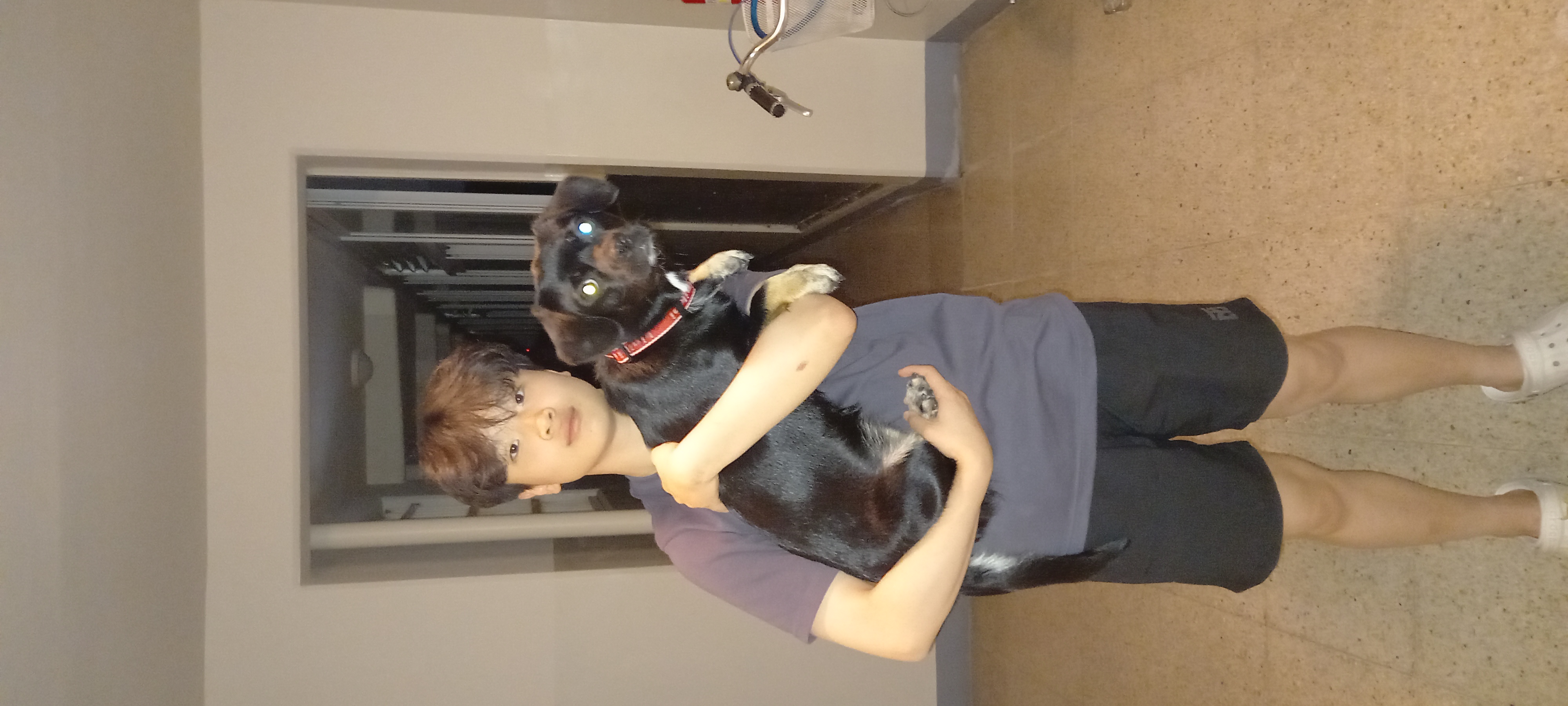 쫑이(무양이) 이야기....