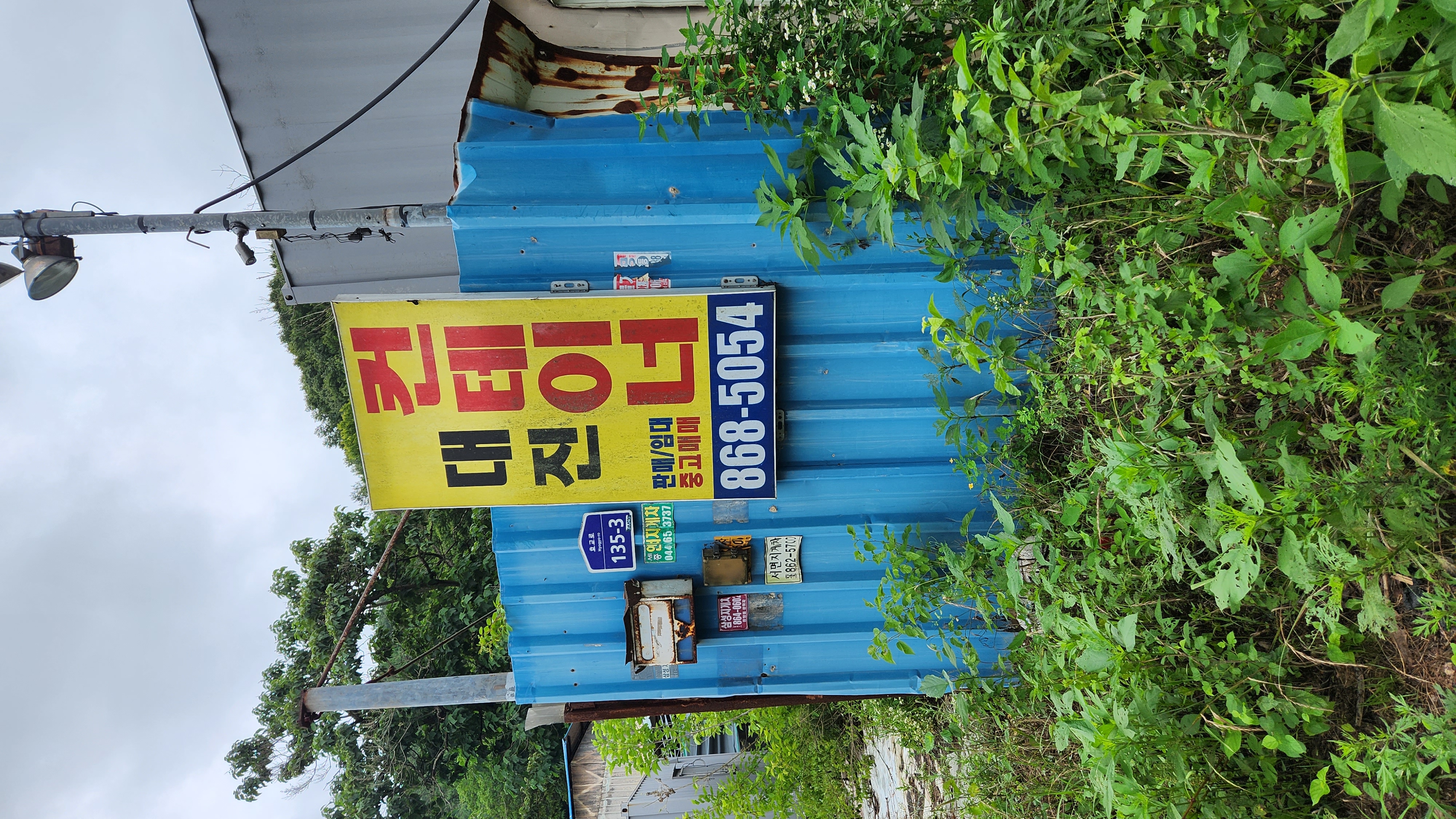 쇠사슬에 묶여 방치되어 있어요.