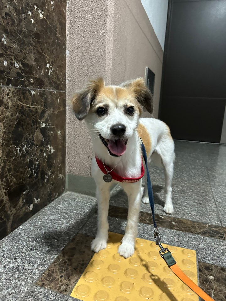 리아 임보 3개월 입니다!