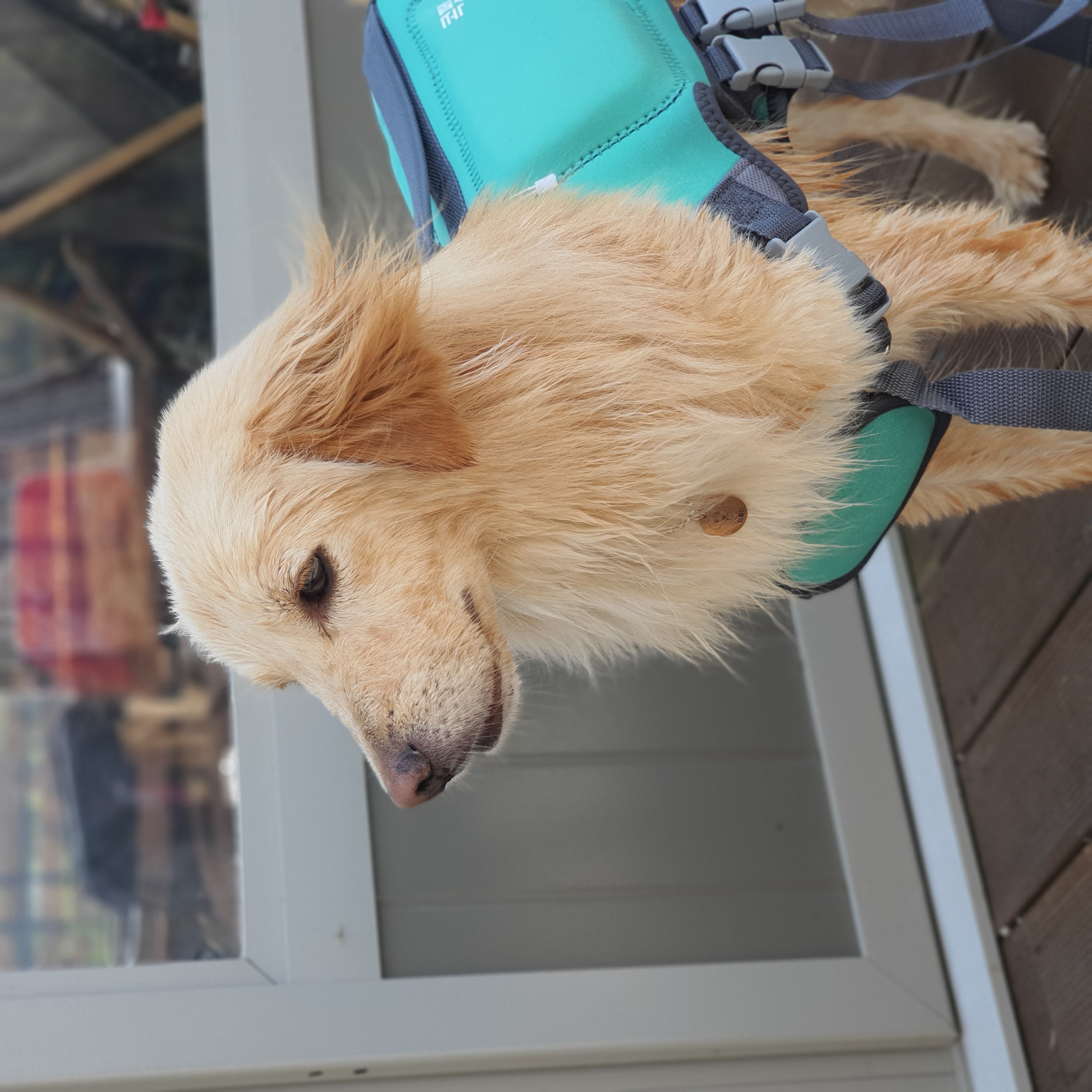 자몽이(육콩이)와 한달