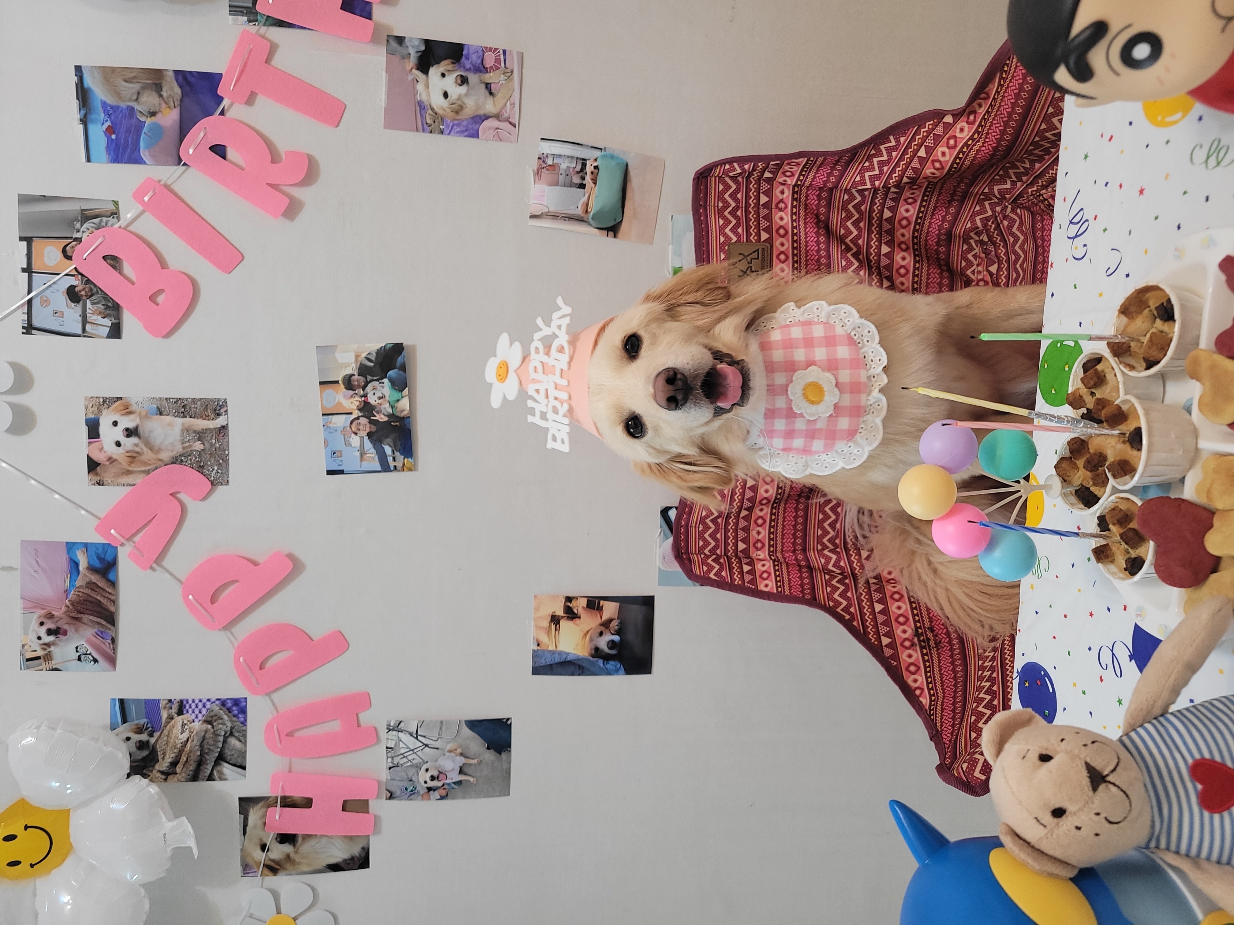 자몽이(육콩이)와 한달