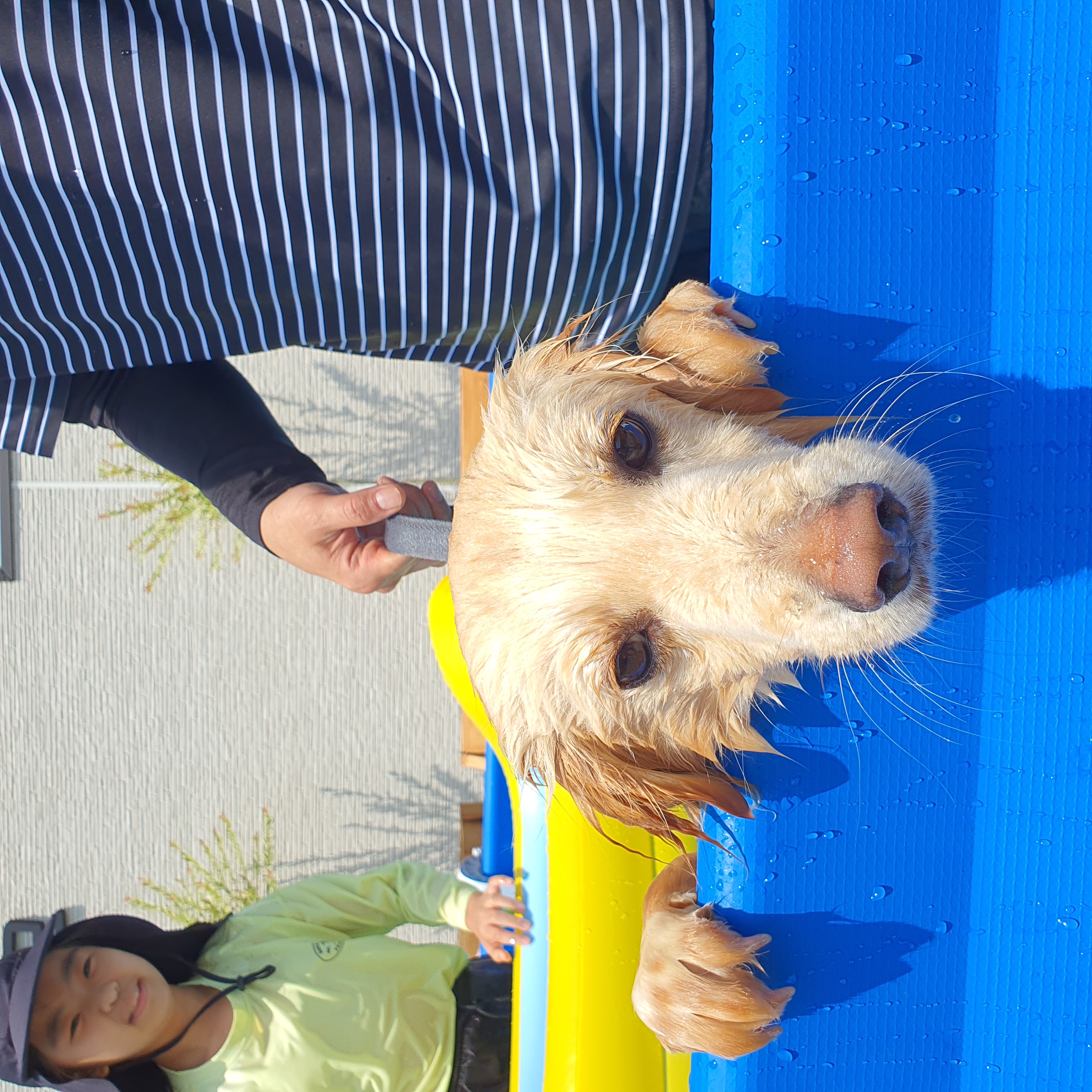 자몽이(육콩이)와 한달