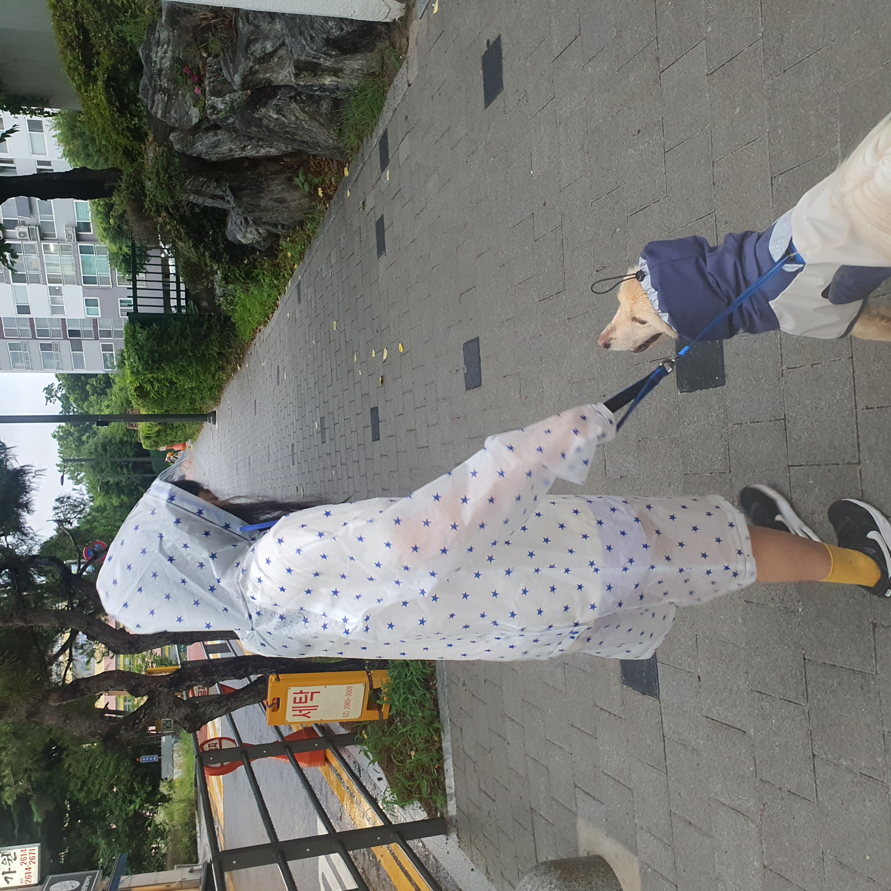 자몽이(육콩이)와 한달