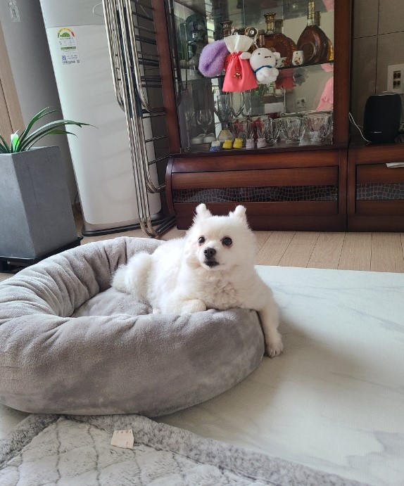  단비 (곤지암 포동이) 1년 7개월^^