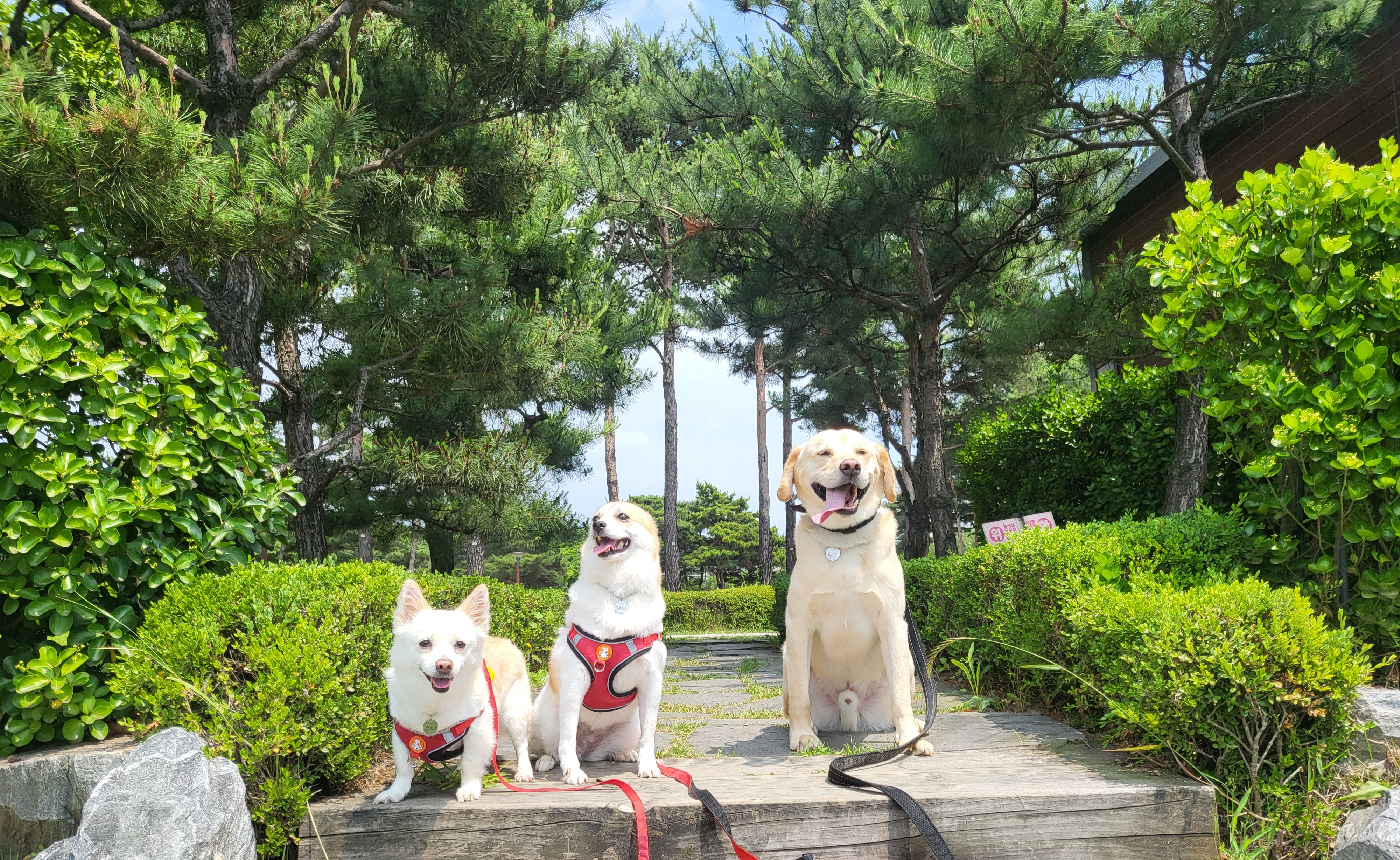 제니(카멜)랑 5년째 행복하게 지내는 중!