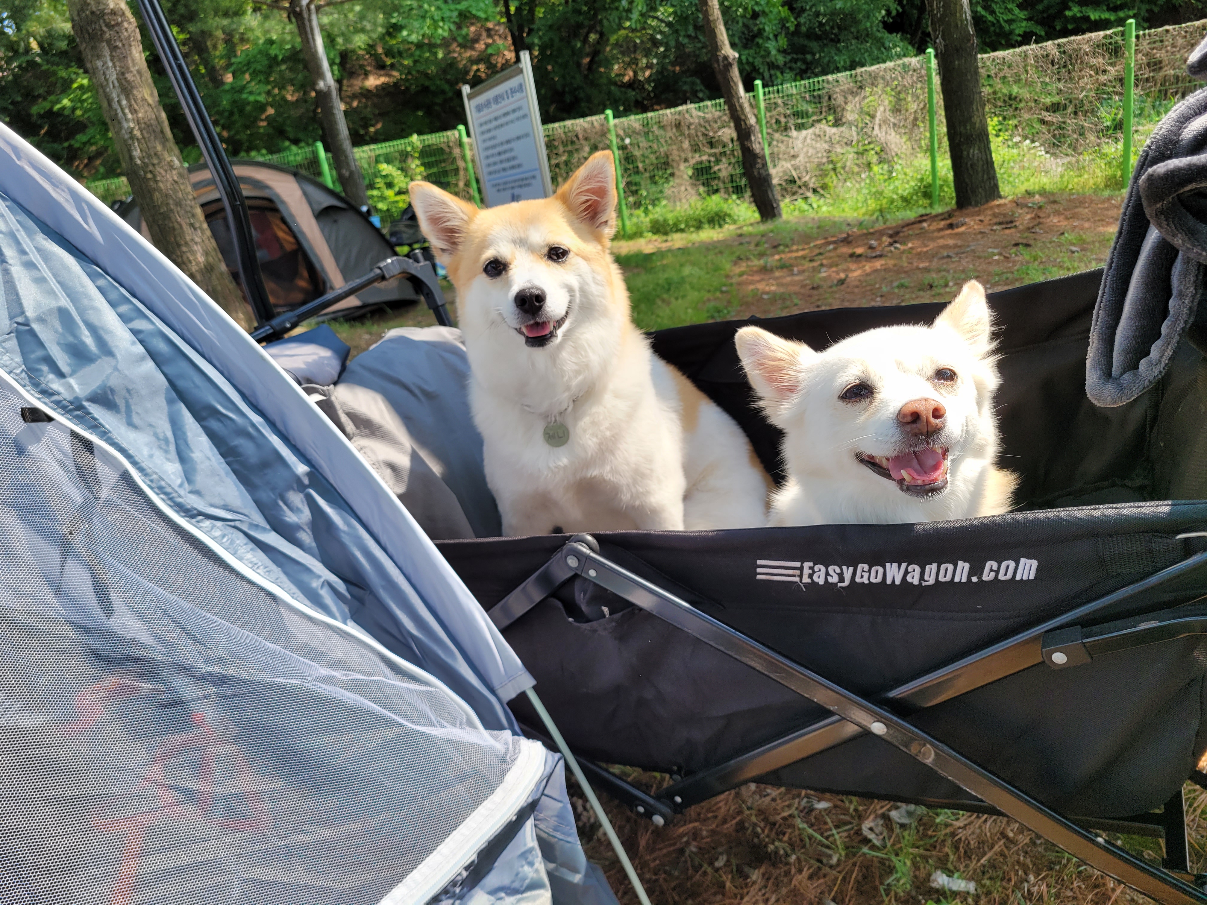 제니(카멜)랑 5년째 행복하게 지내는 중!