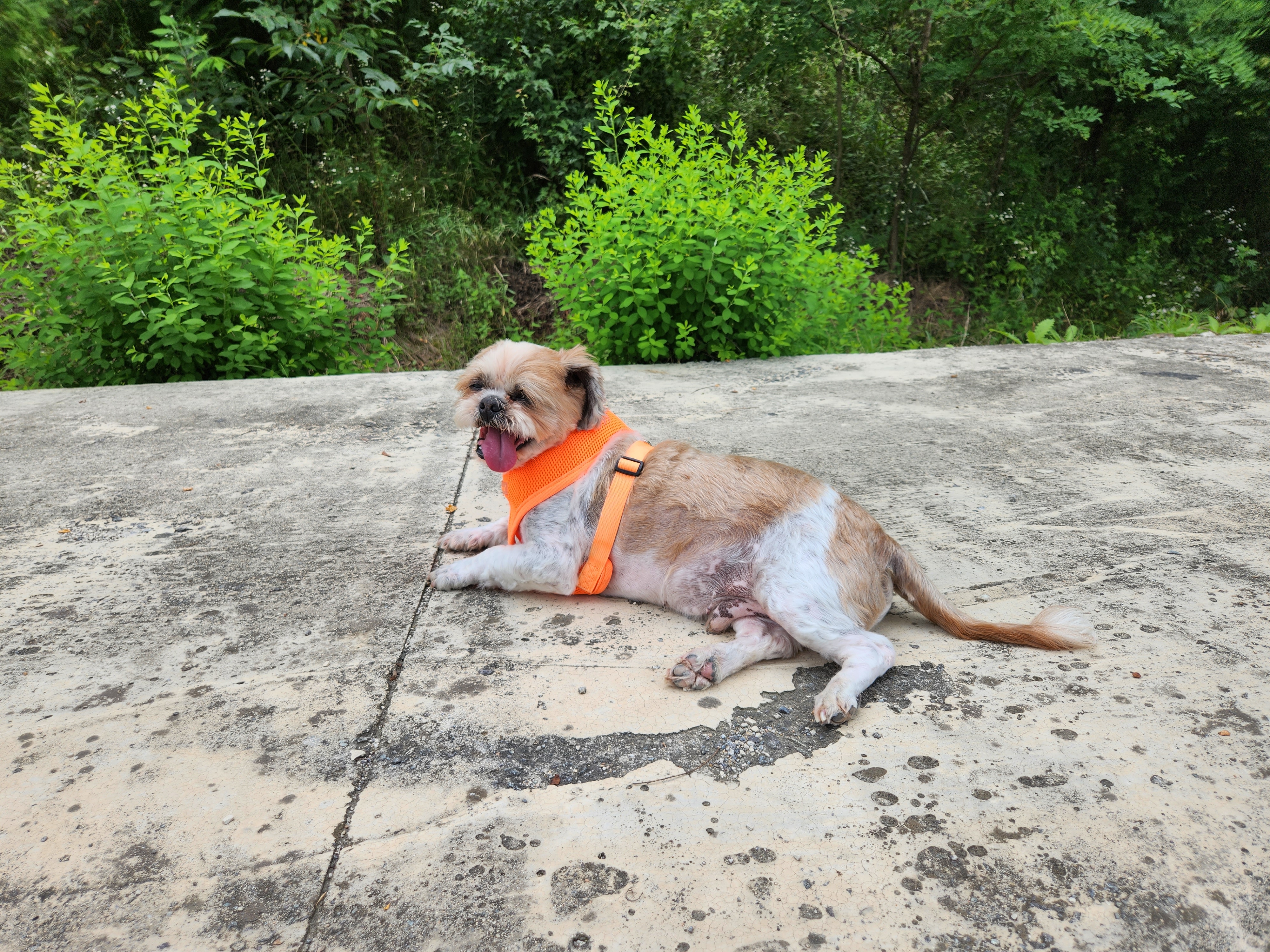 오랜만에 인사드려요. 덕배 포동이에요