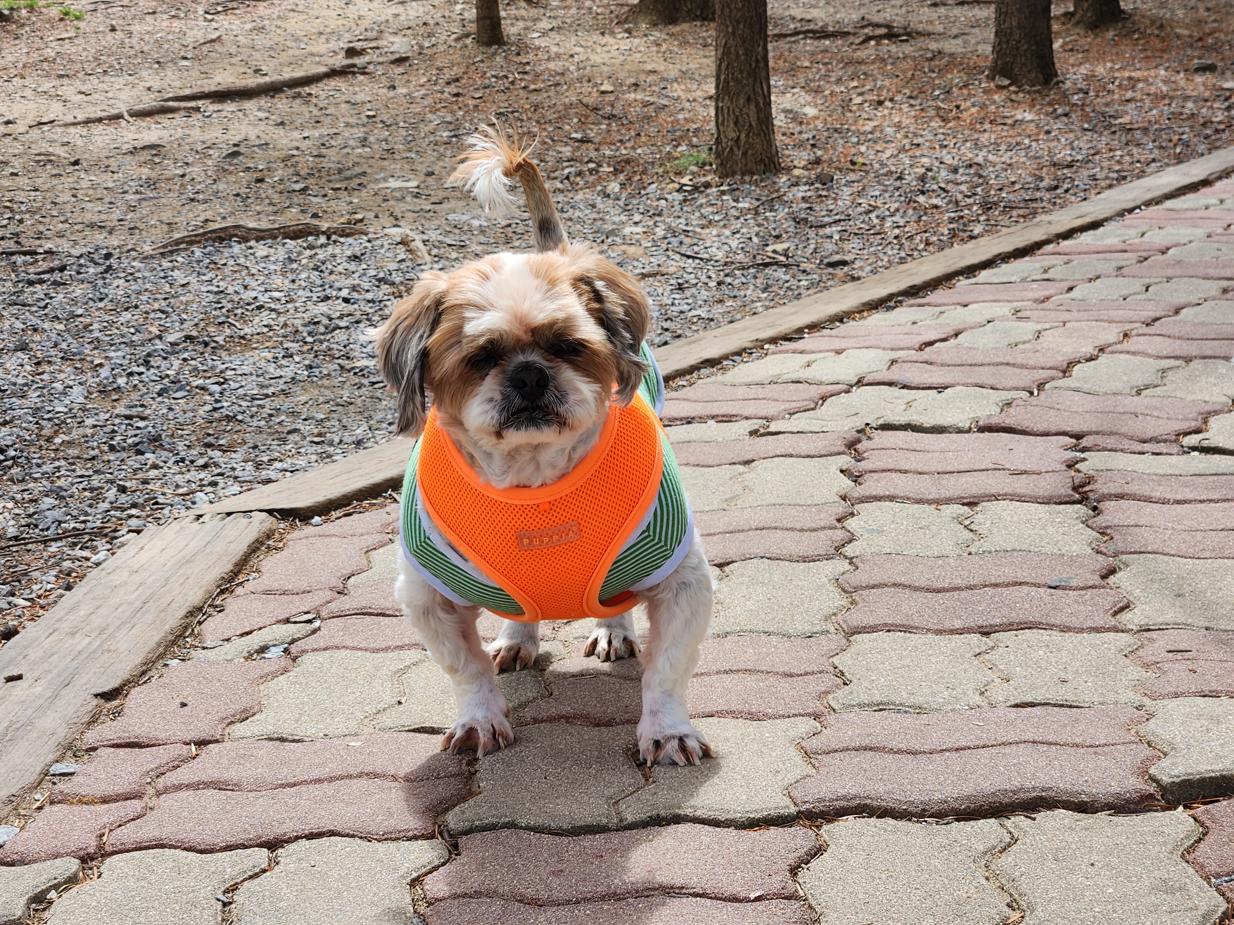 오랜만에 인사드려요. 덕배 포동이에요