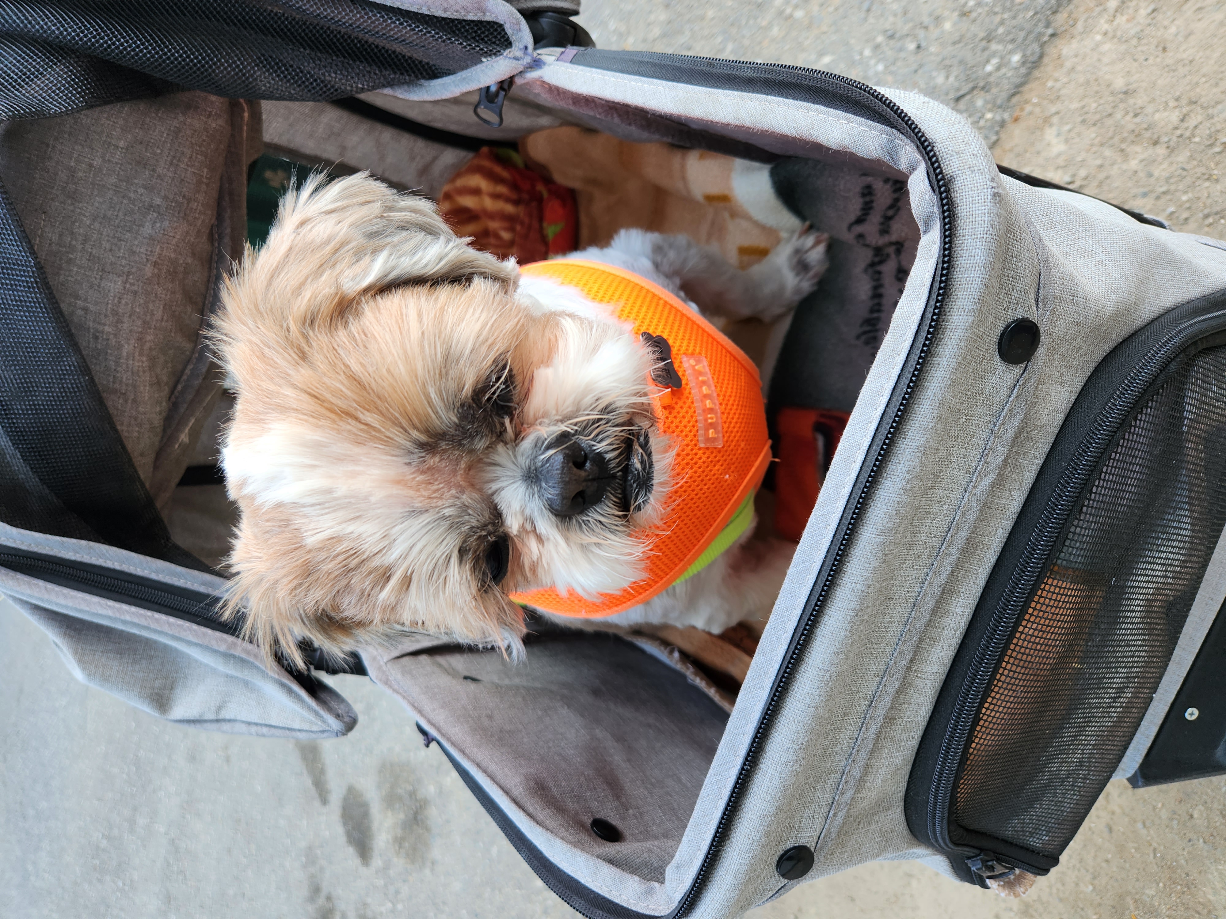 오랜만에 인사드려요. 덕배 포동이에요