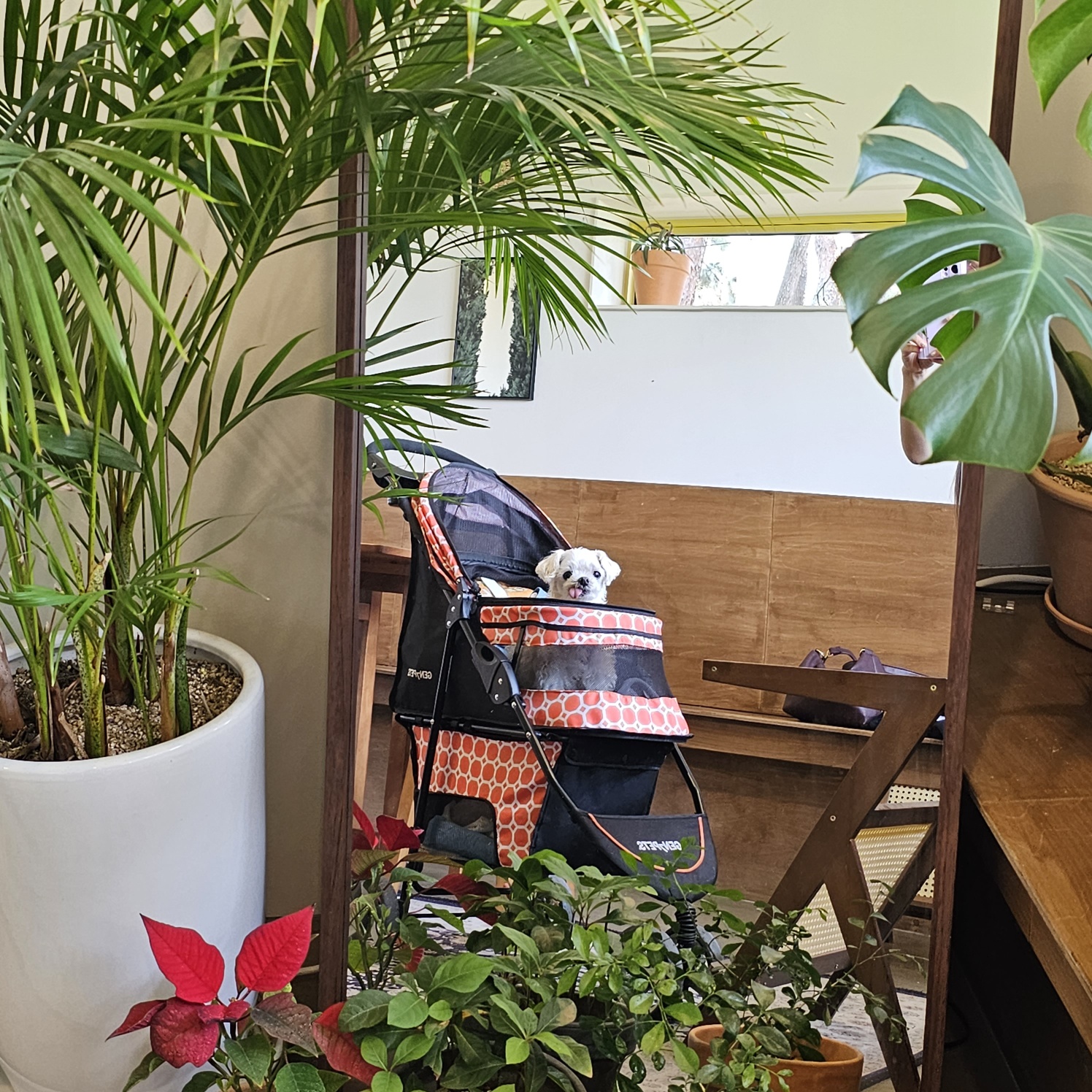 해바라기꽃순이 입니다^.^