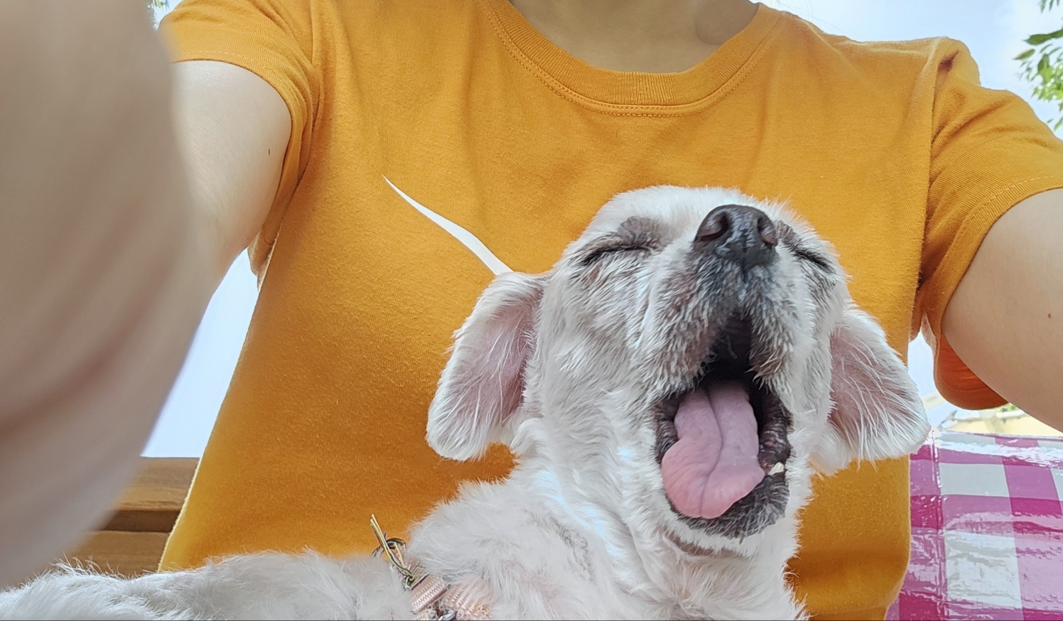 해바라기꽃순이 입니다^.^