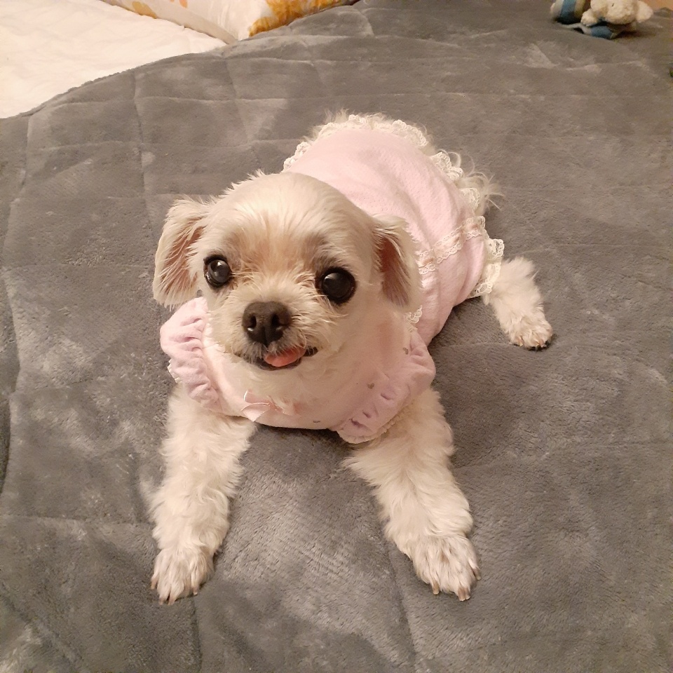 해바라기꽃순이 입니다^.^