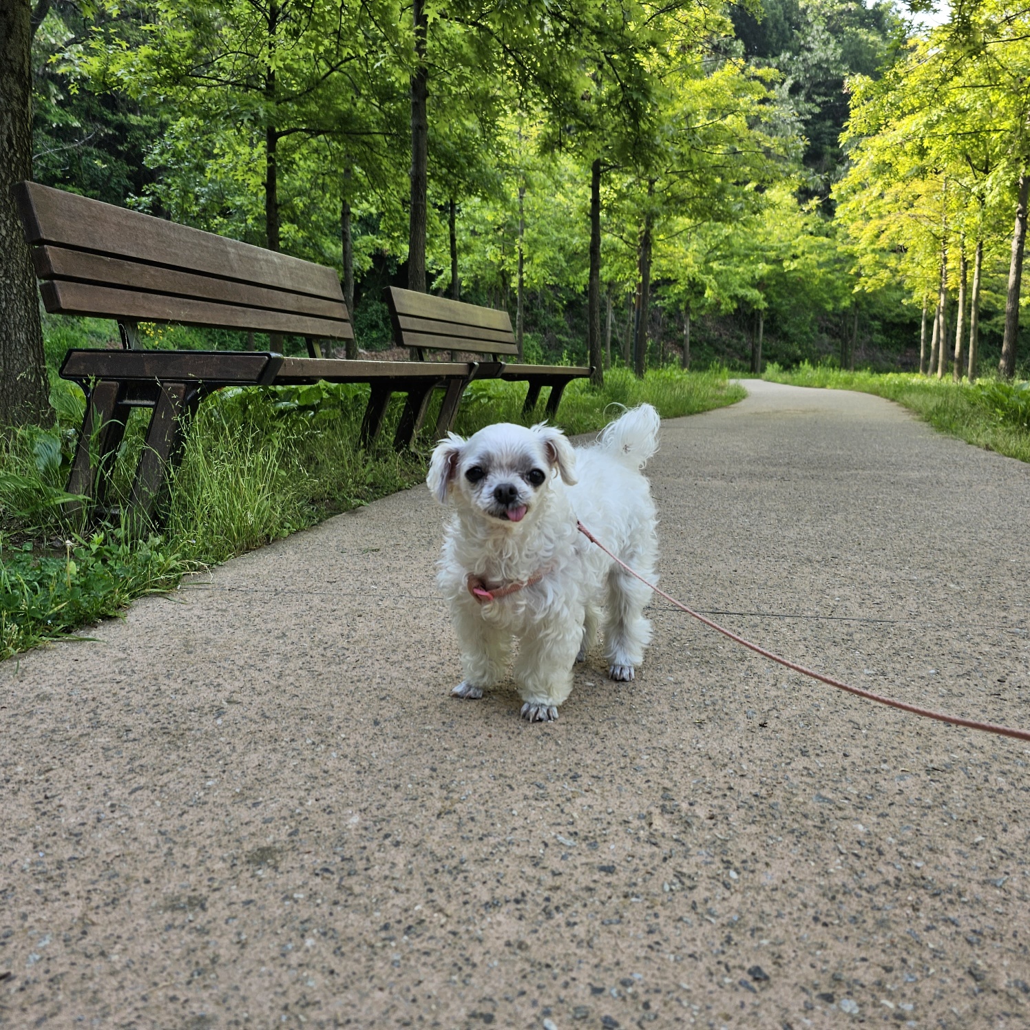 해바라기꽃순이 입니다^.^