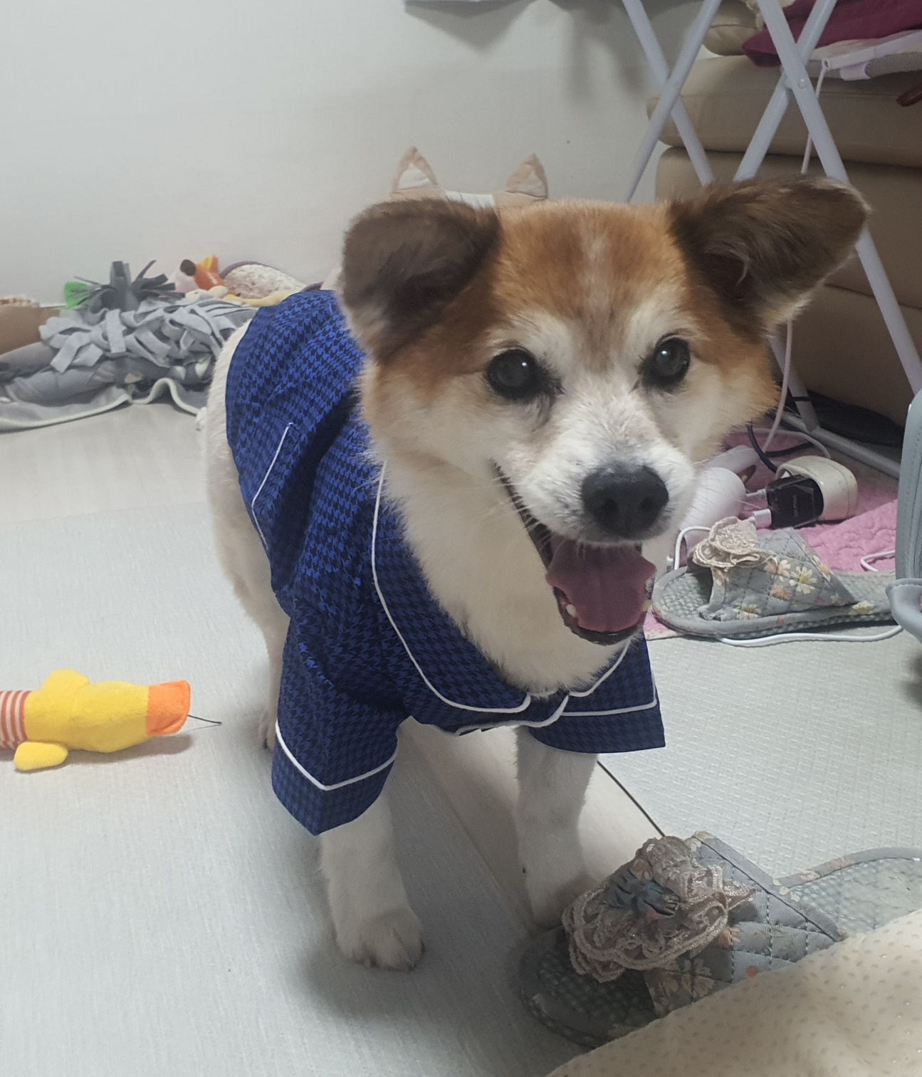 꼬마와 2년이 됐습니다 ^^