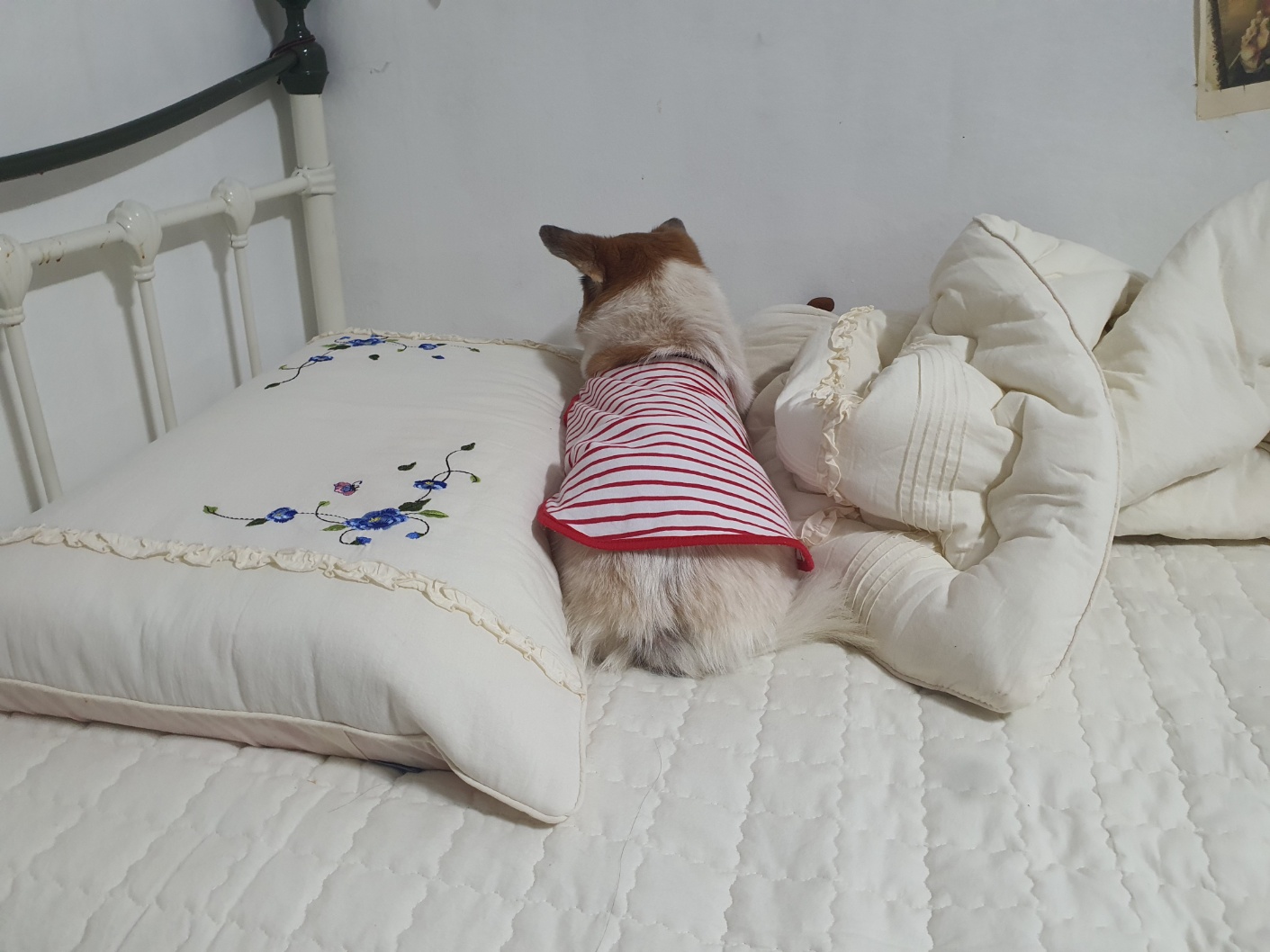 꼬마와 2년이 됐습니다 ^^