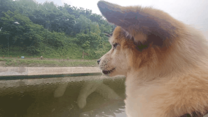 꼬마와 2년이 됐습니다 ^^