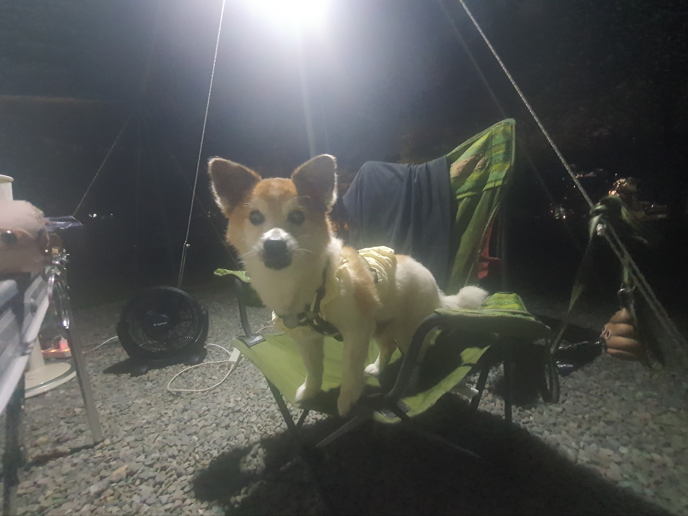 꼬마와 2년이 됐습니다 ^^