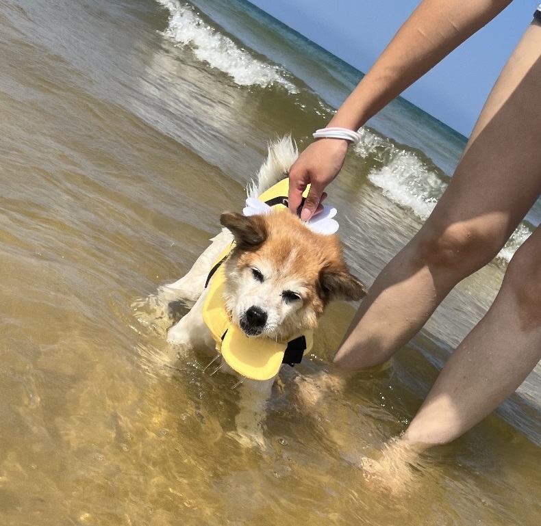 꼬마와 2년이 됐습니다 ^^