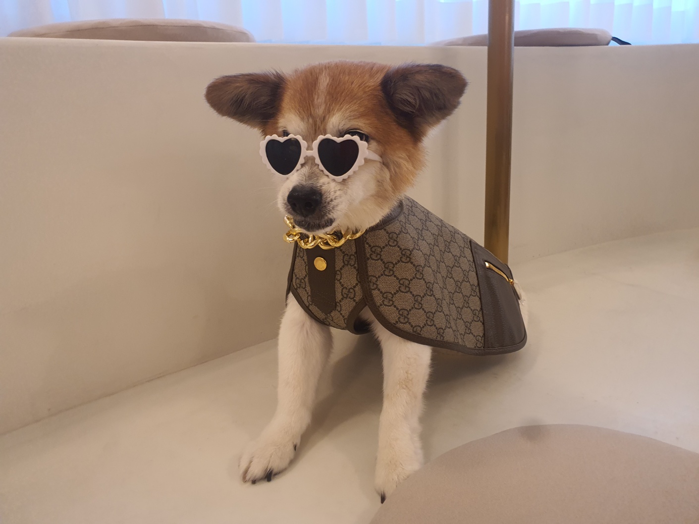 꼬마와 2년이 됐습니다 ^^