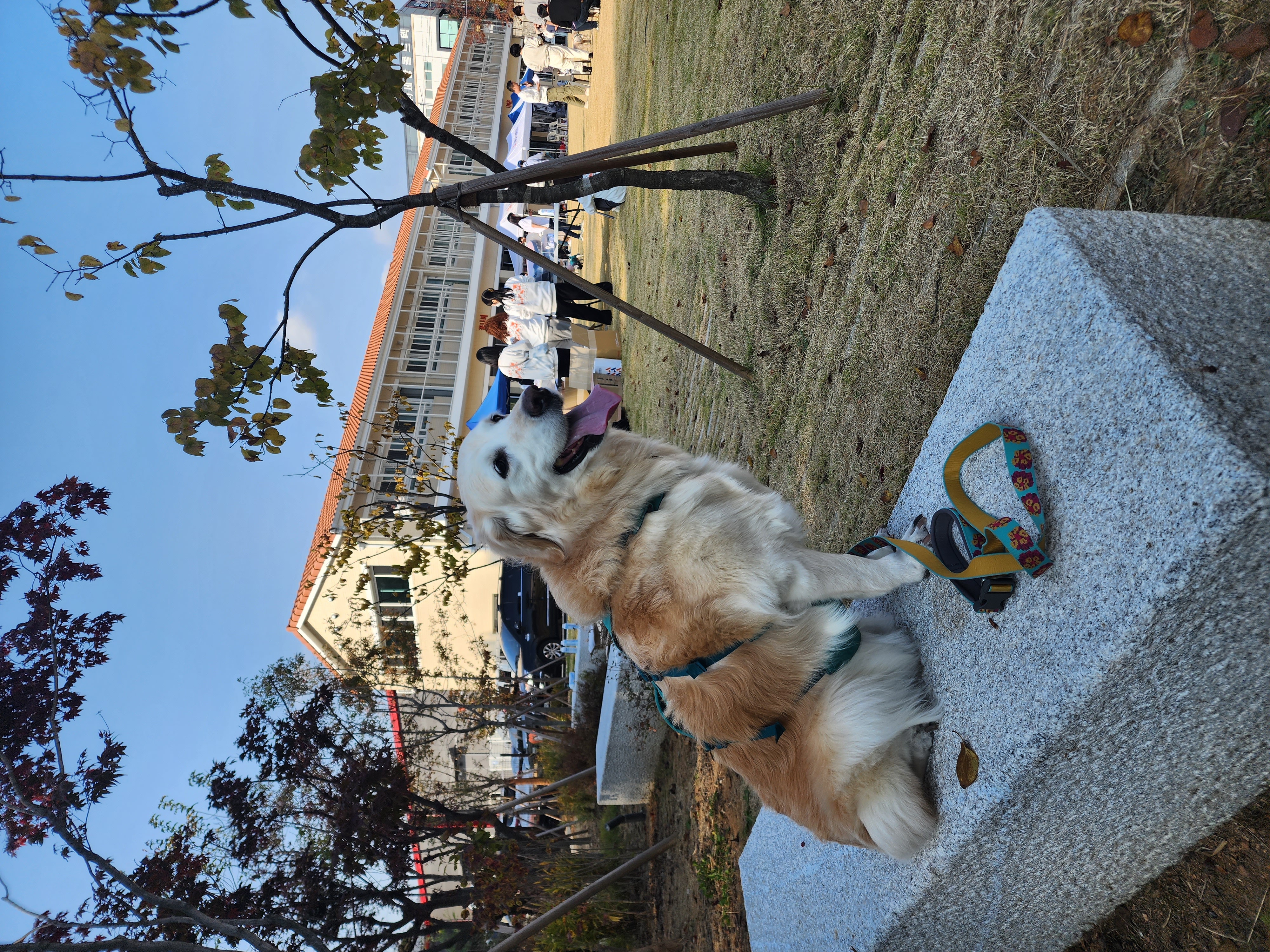 호박(고양4) 잘 지내고 있습니다.