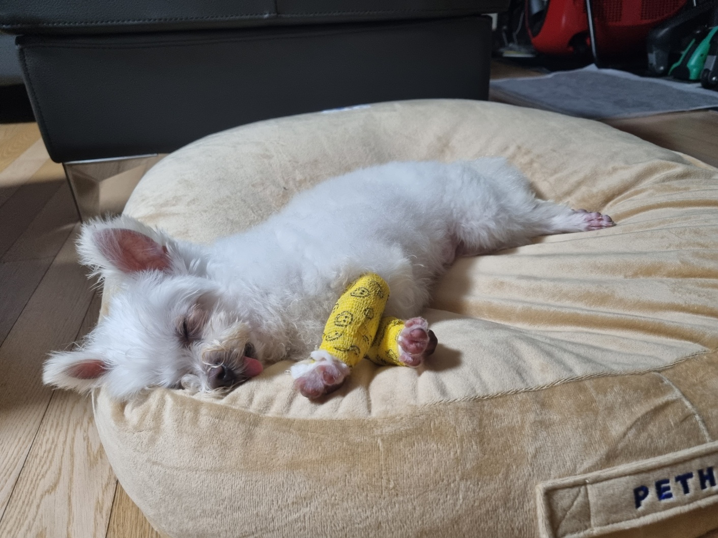 안녕하세요. 익준이가 인사드립니다.