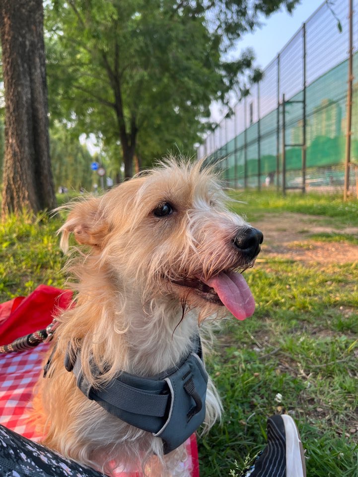 엘리사와 보내는 3번째 여름 