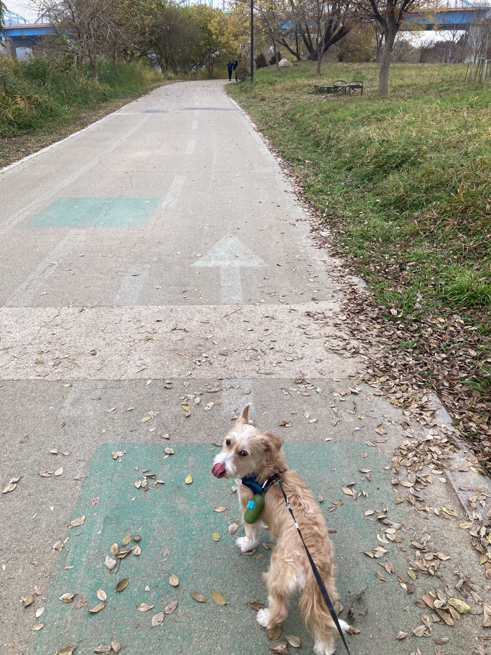 엘리사와 보내는 3번째 여름 