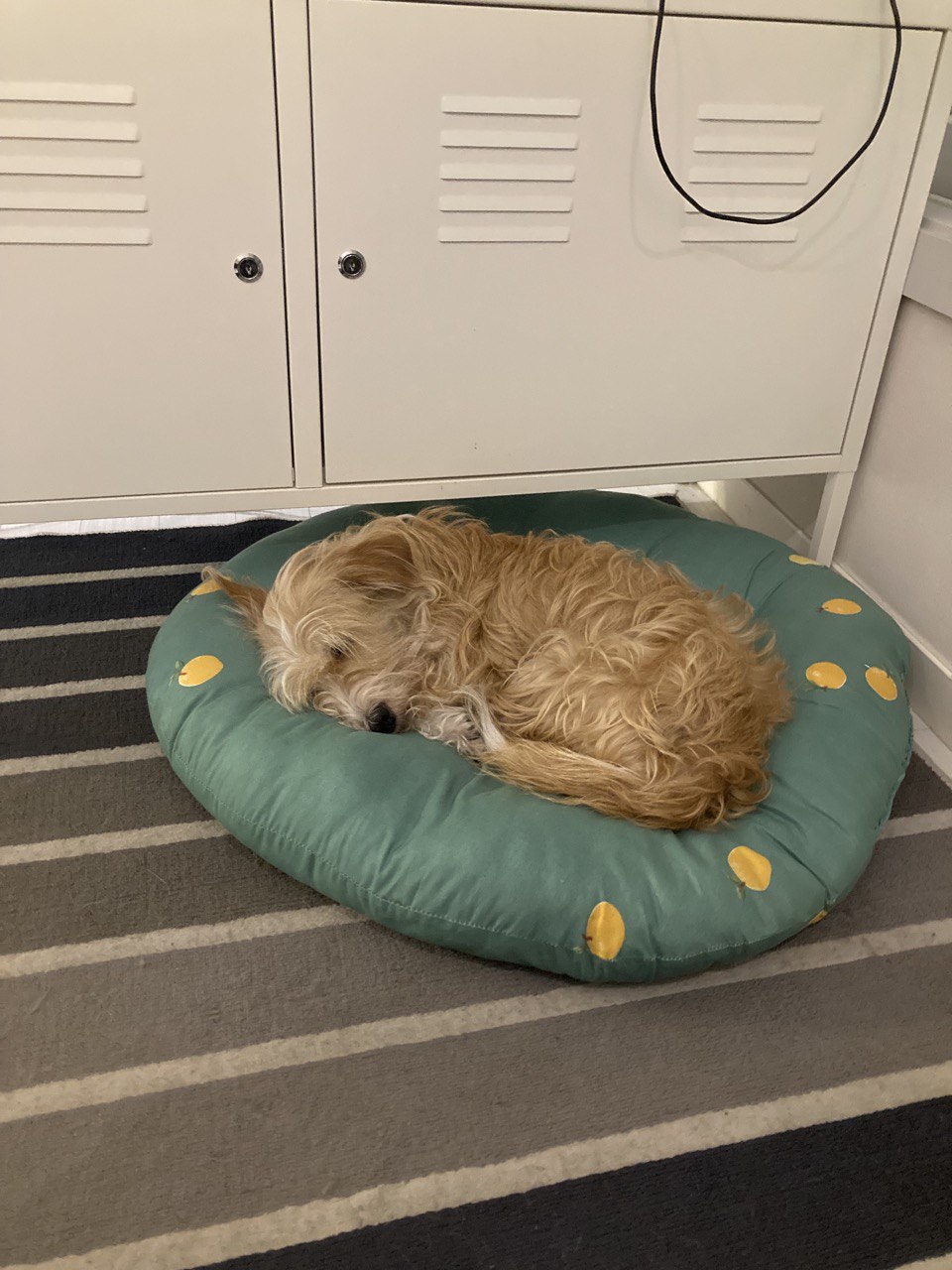 엘리사와 보내는 3번째 여름 