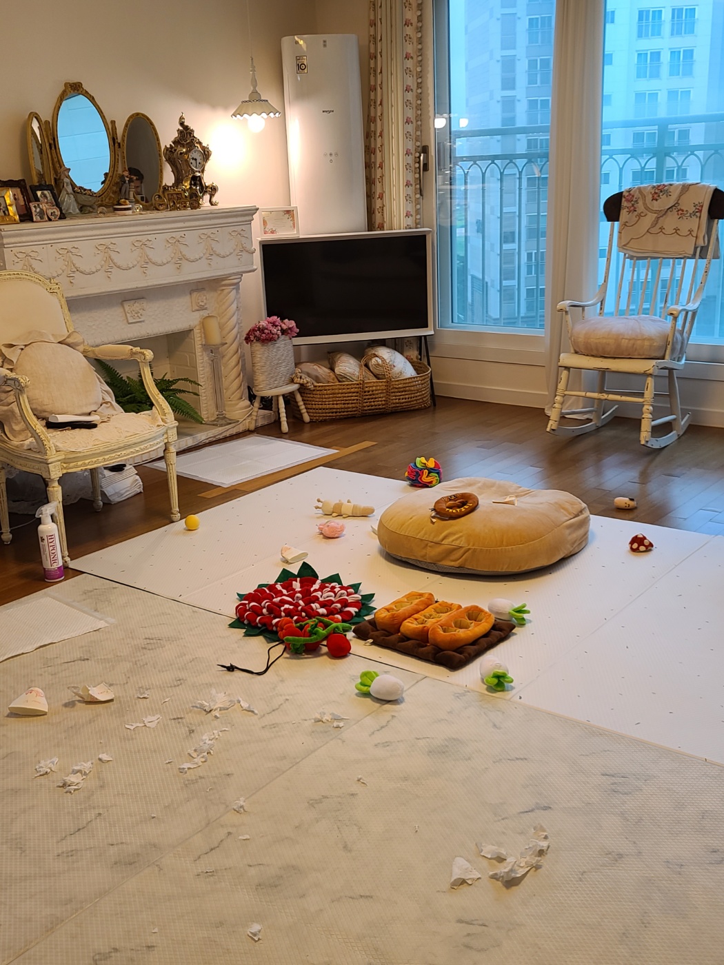 마음이 (네즈) 입양 3개월 입니다