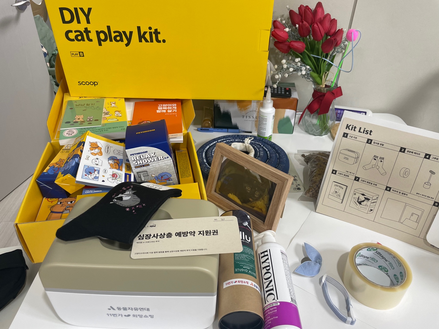 미쯔(구 고롱이) 의 다사다난 일주