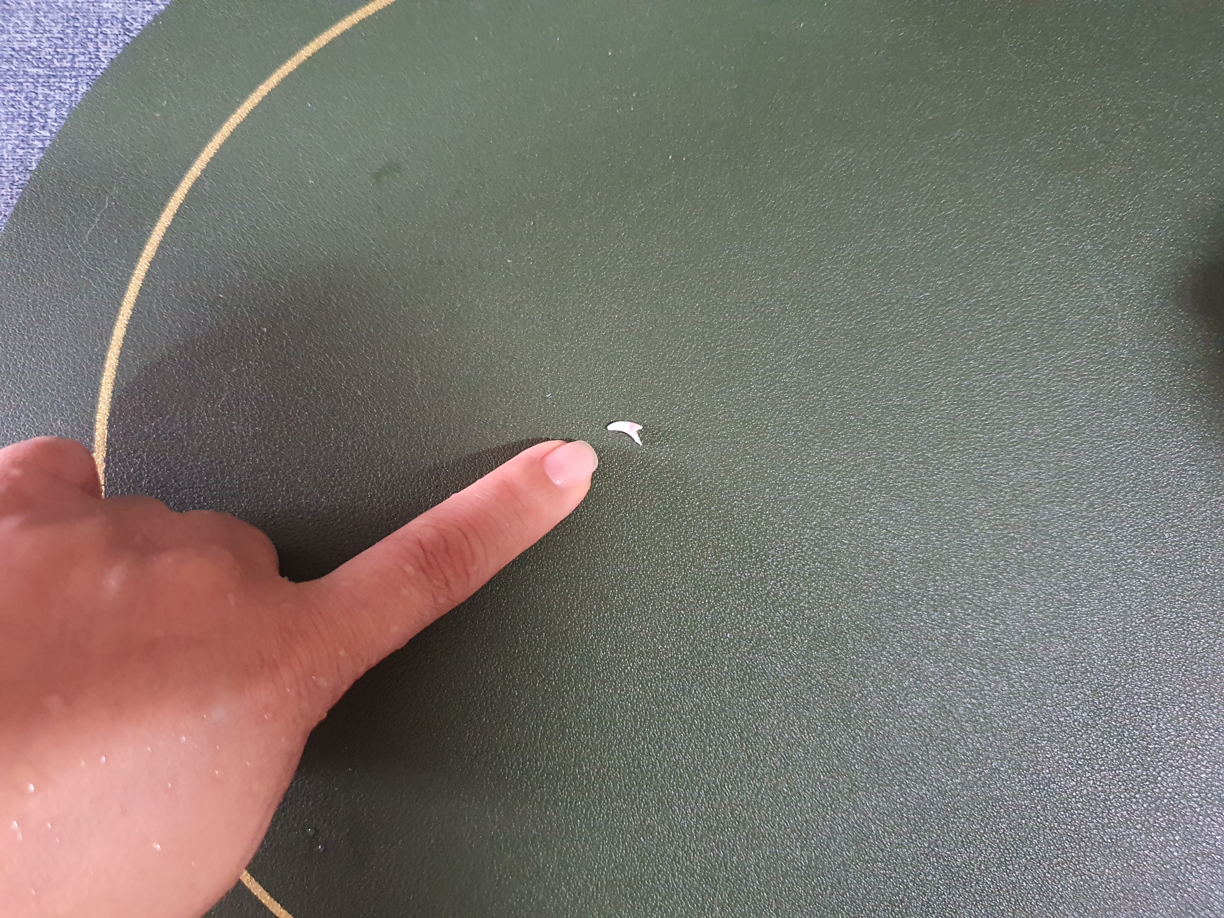 해치 딸 '해선이' 입양한지 2주가 되어가요~