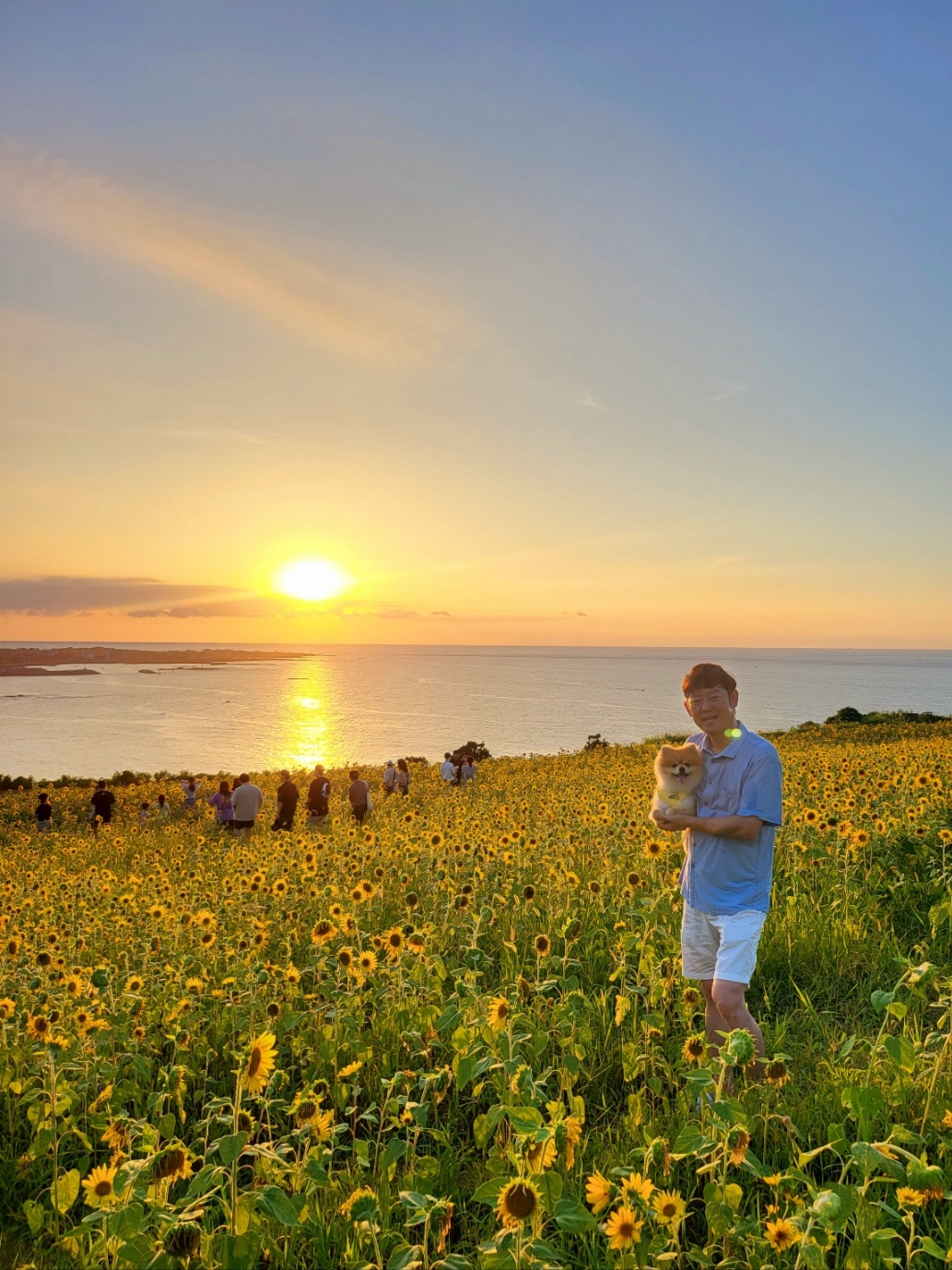 뽀심이(동식이) 입양 후 한달 후기입니다